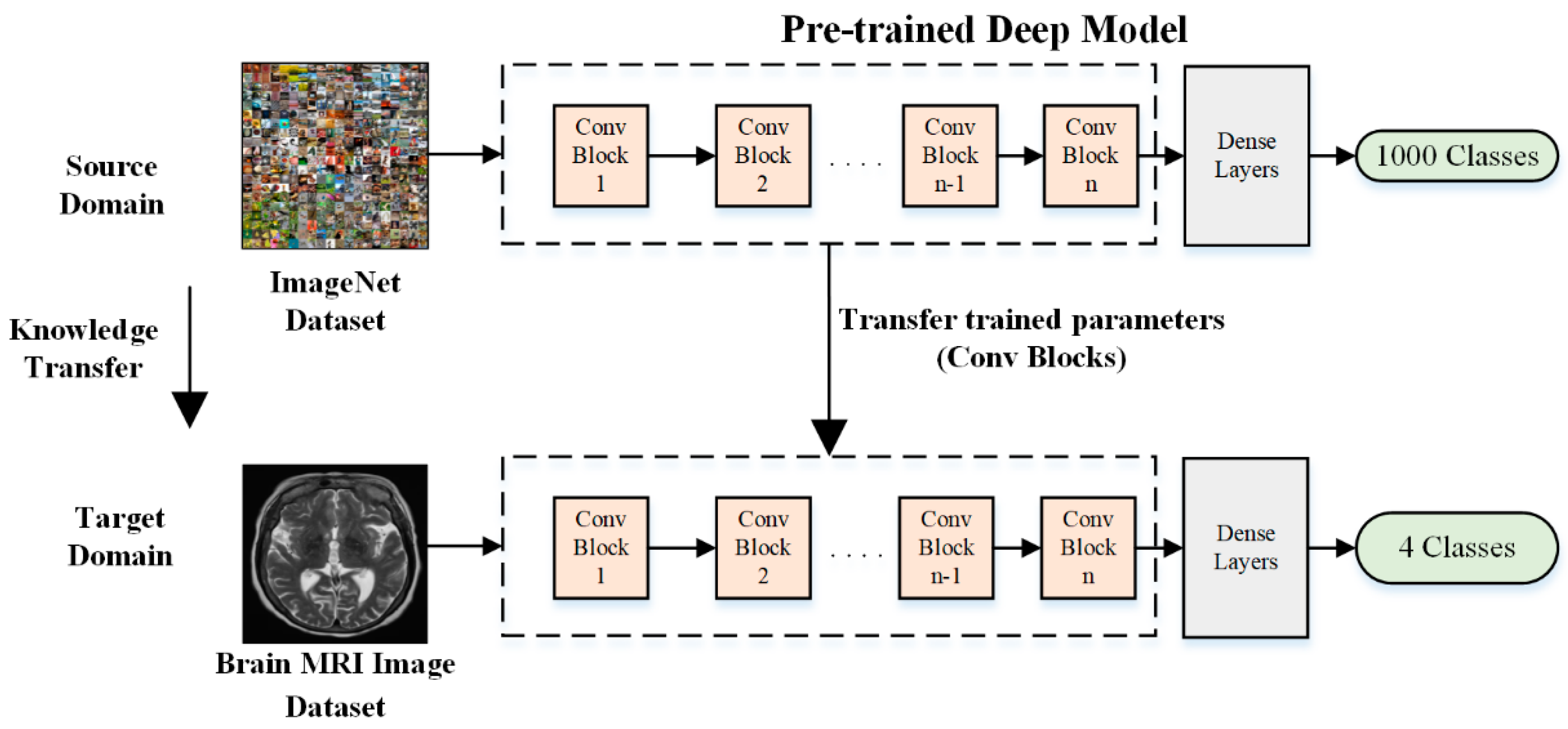 Bioengineering 11 01076 g002