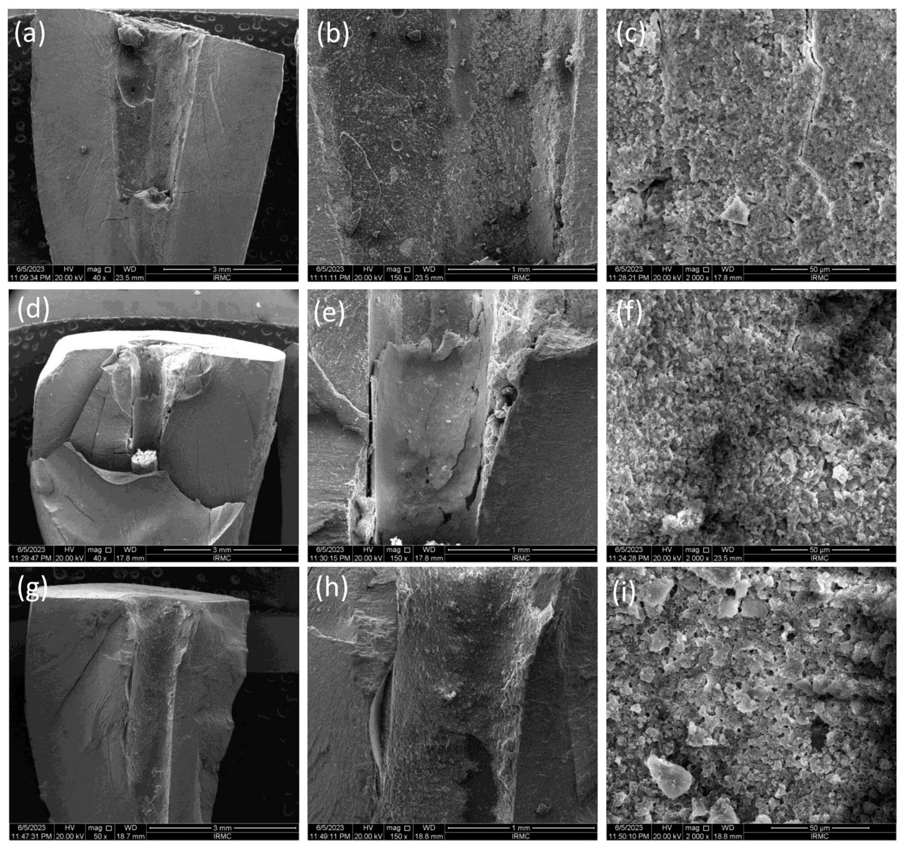 Bioengineering 11 01079 g002