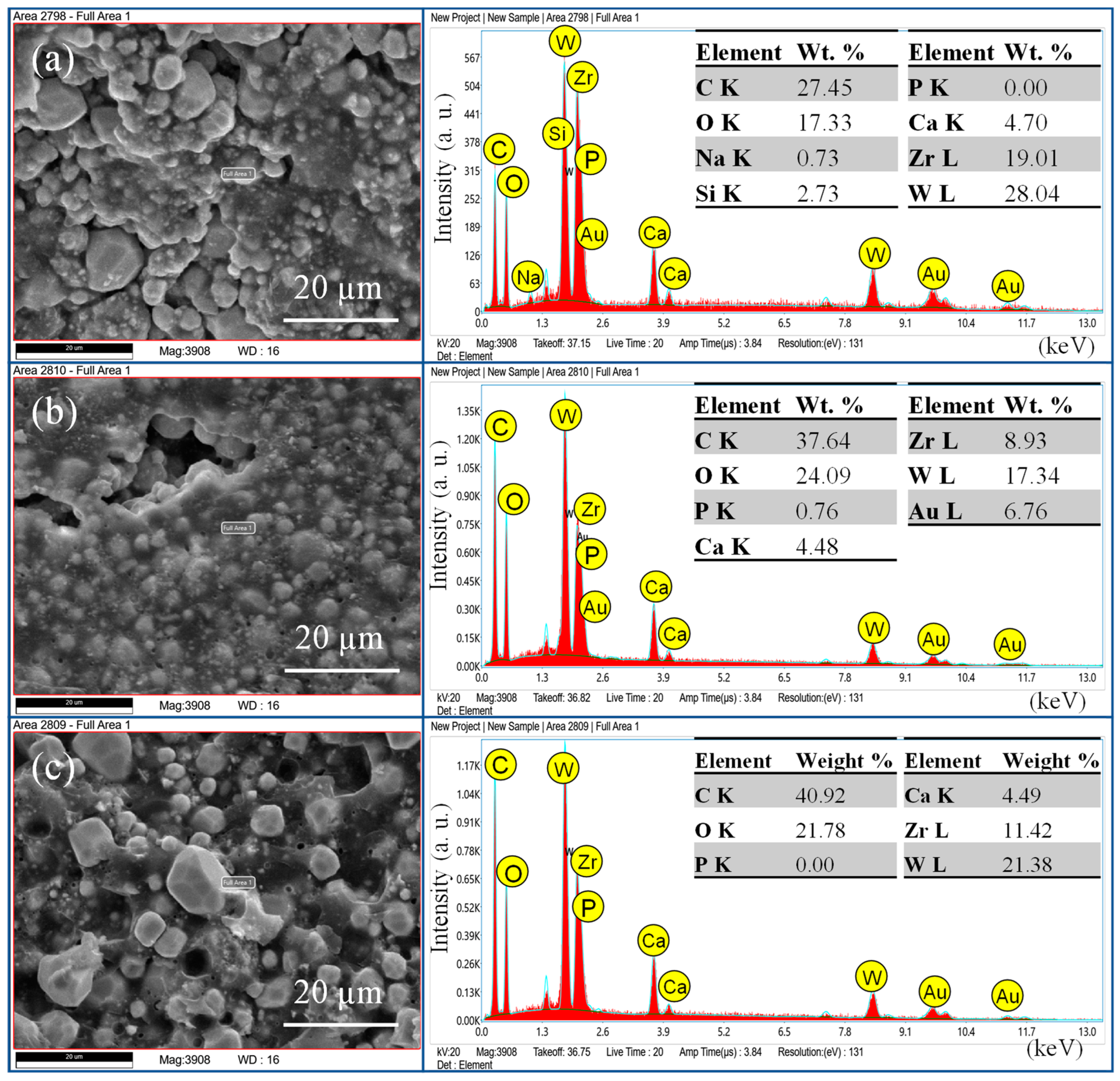 Bioengineering 11 01079 g004