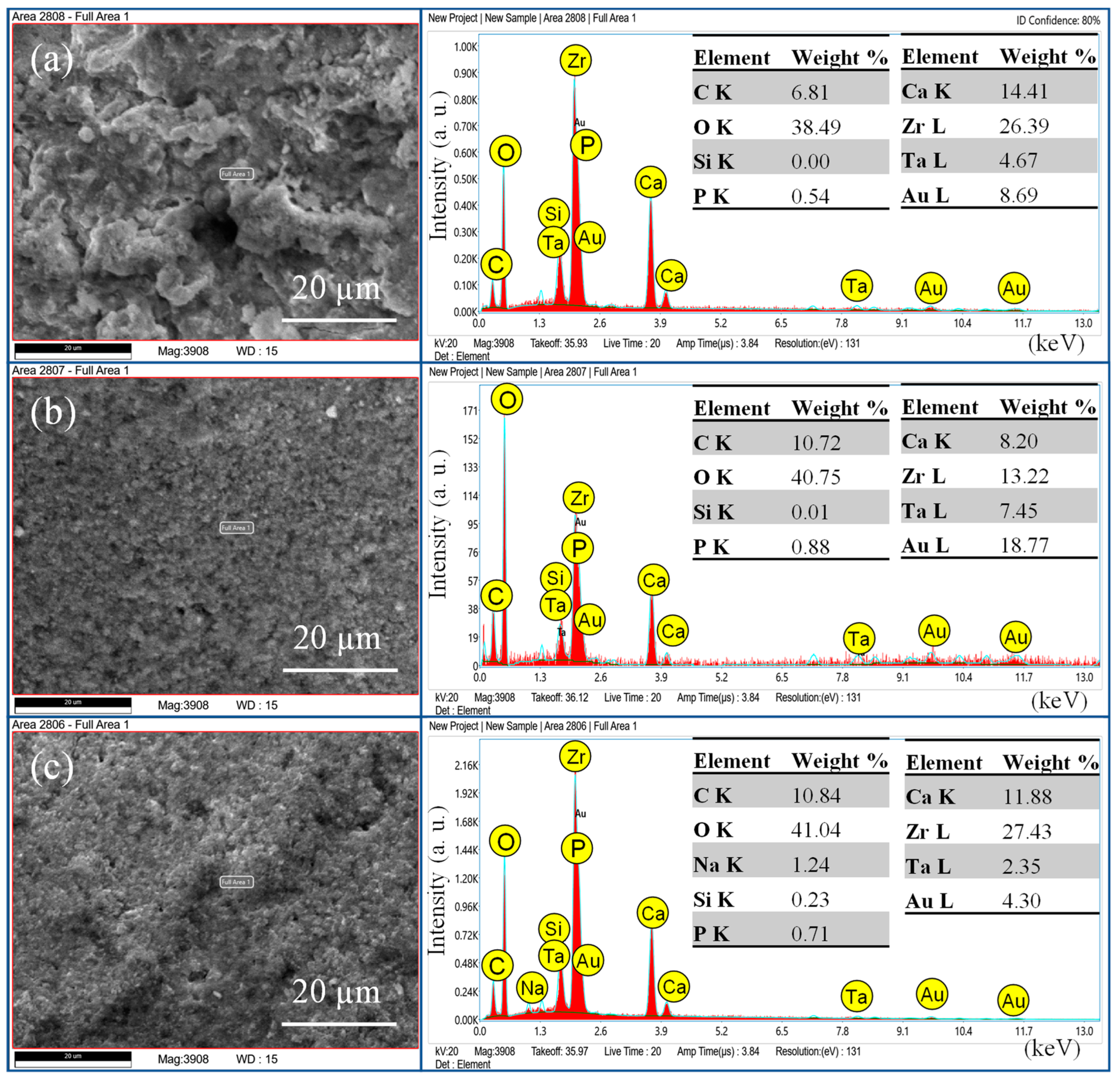 Bioengineering 11 01079 g005