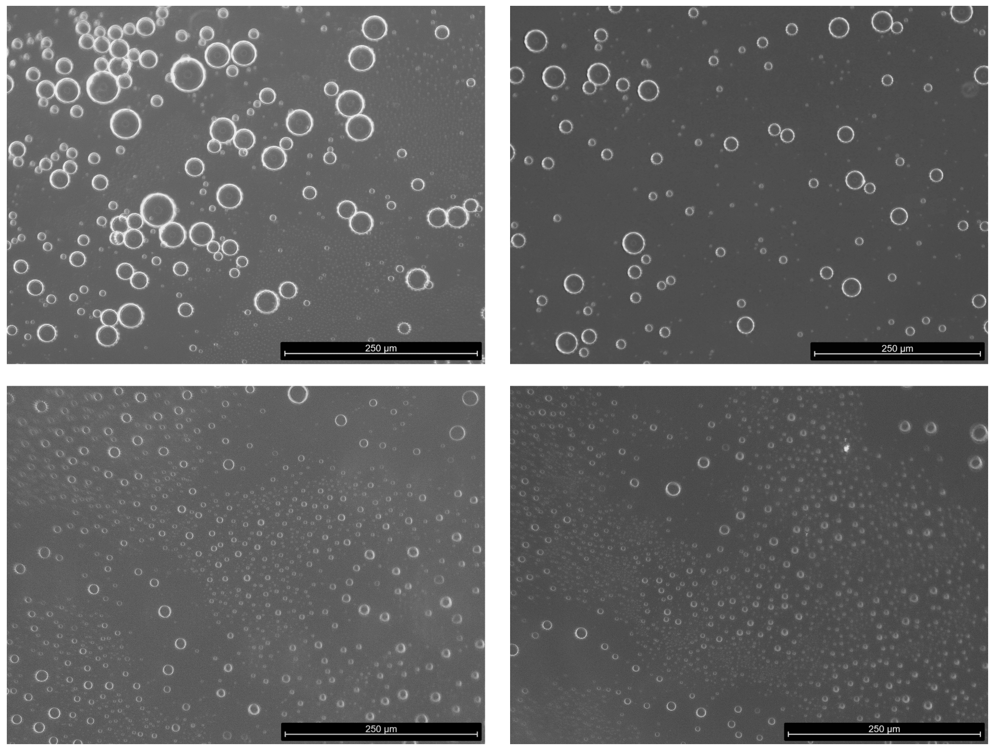 Bioengineering 11 01081 g002