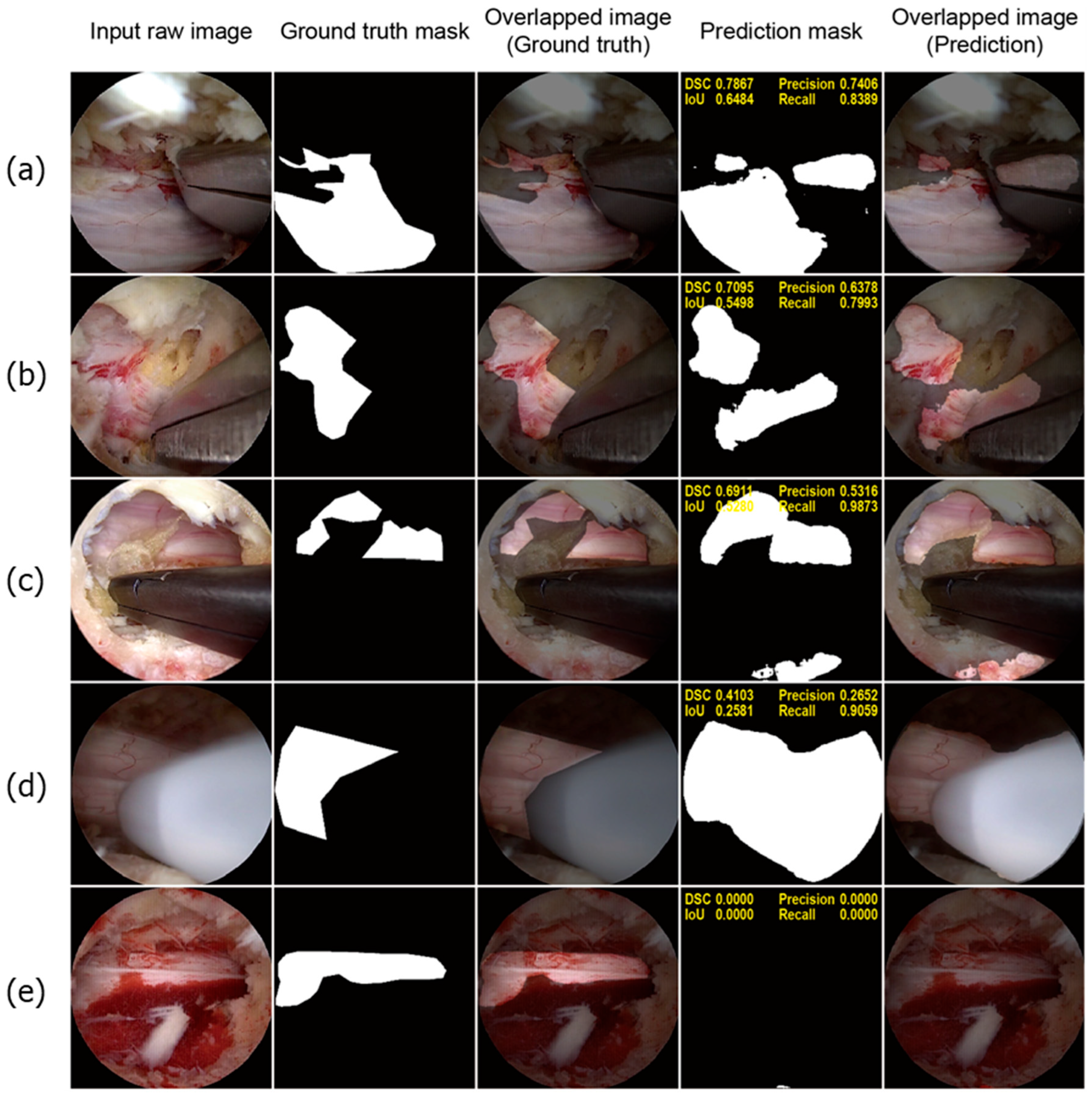 Bioengineering 11 01082 g005