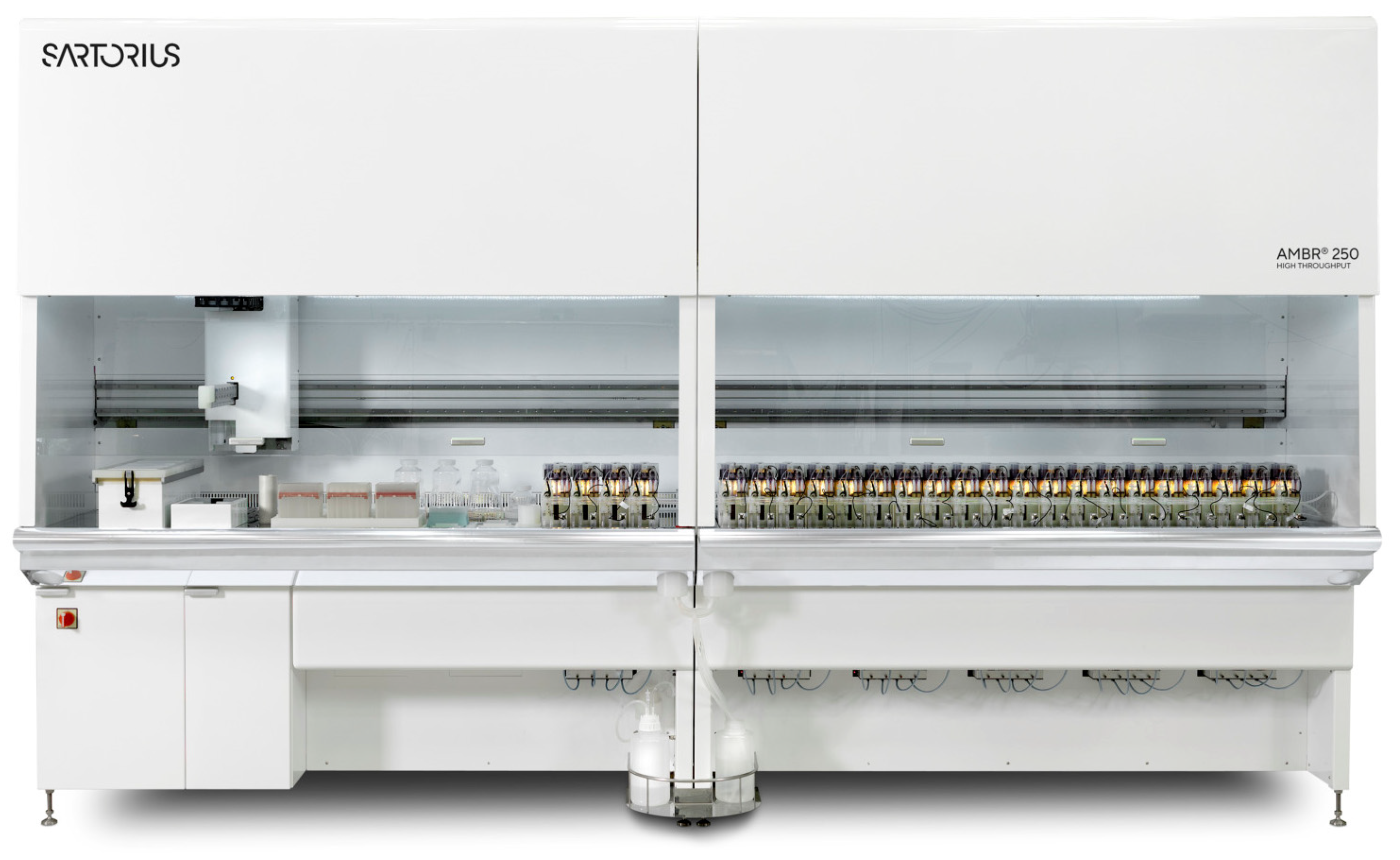 Bioengineering 11 01089 g004