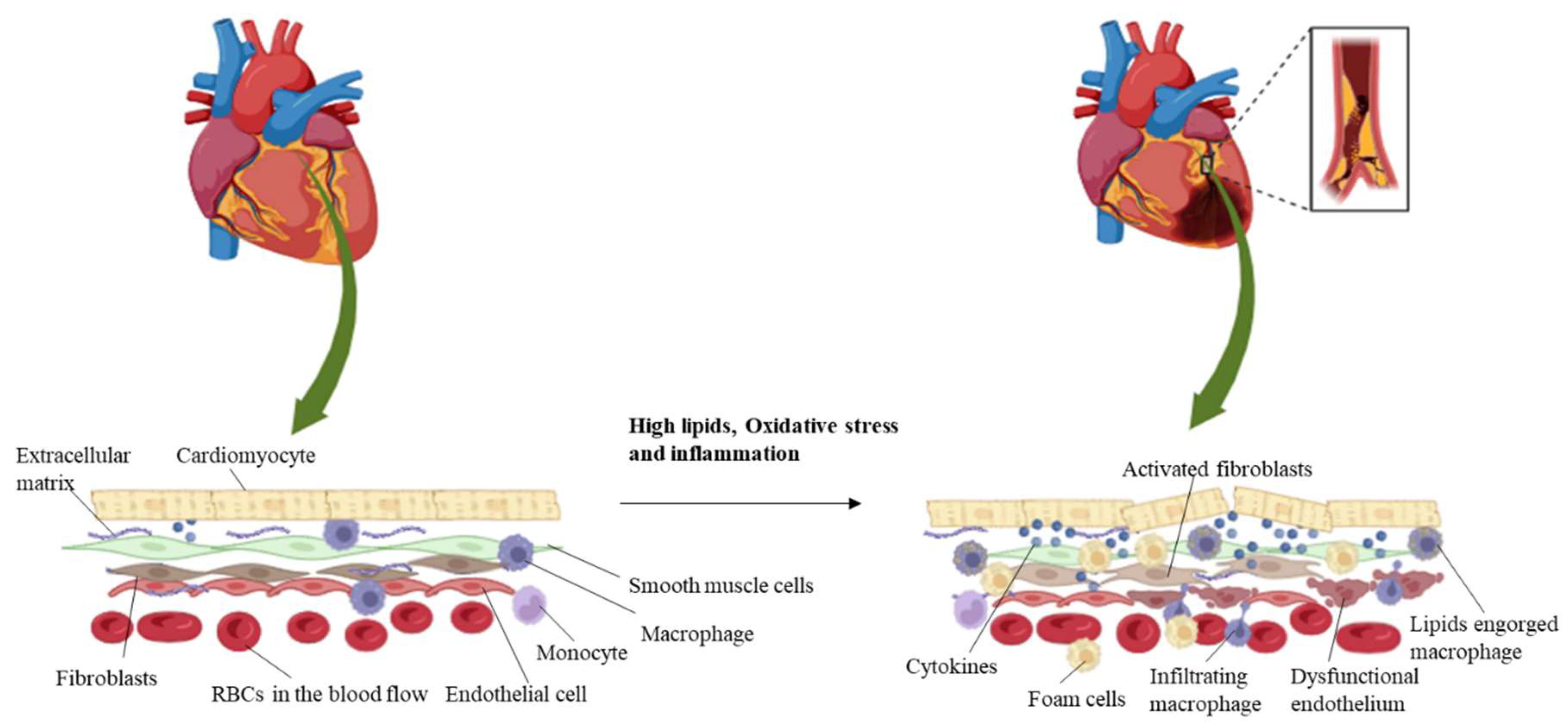 Bioengineering 11 01090 g001
