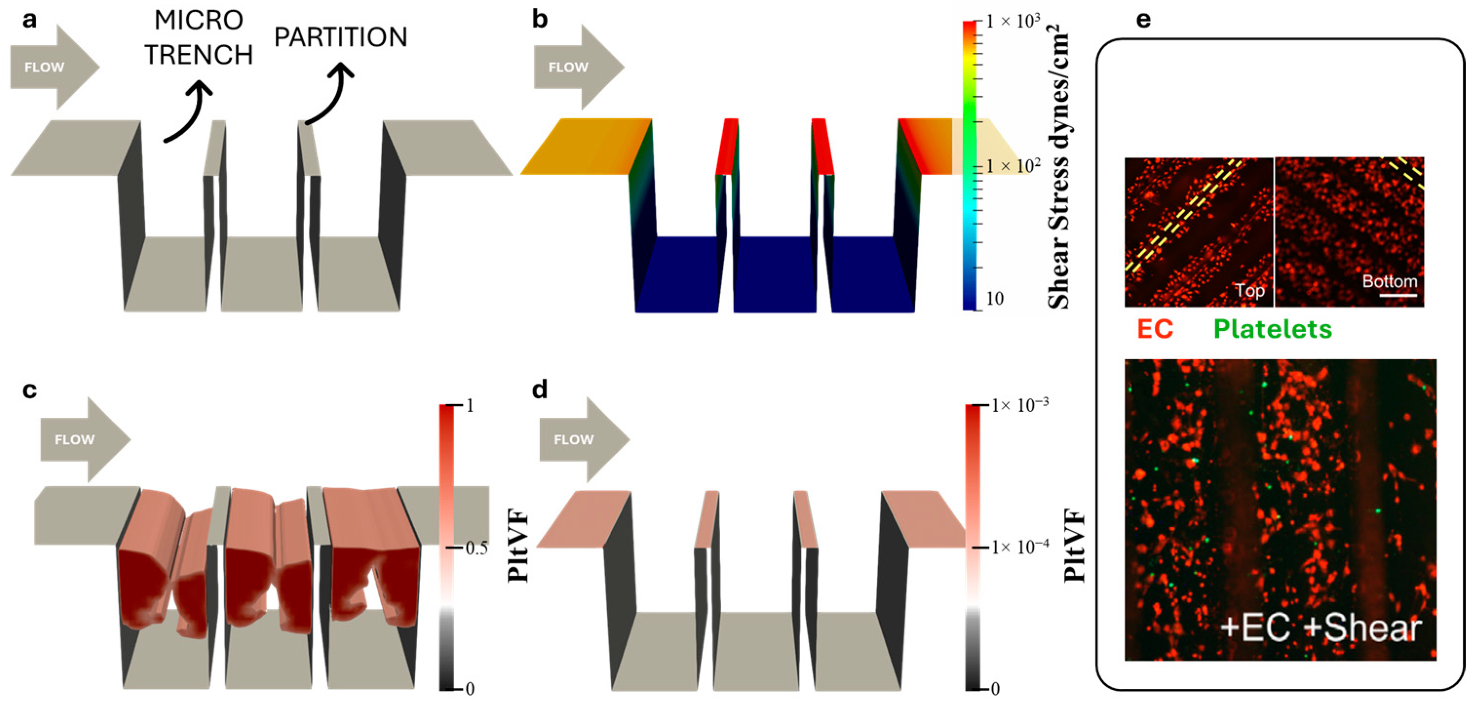 Bioengineering 11 01092 g001