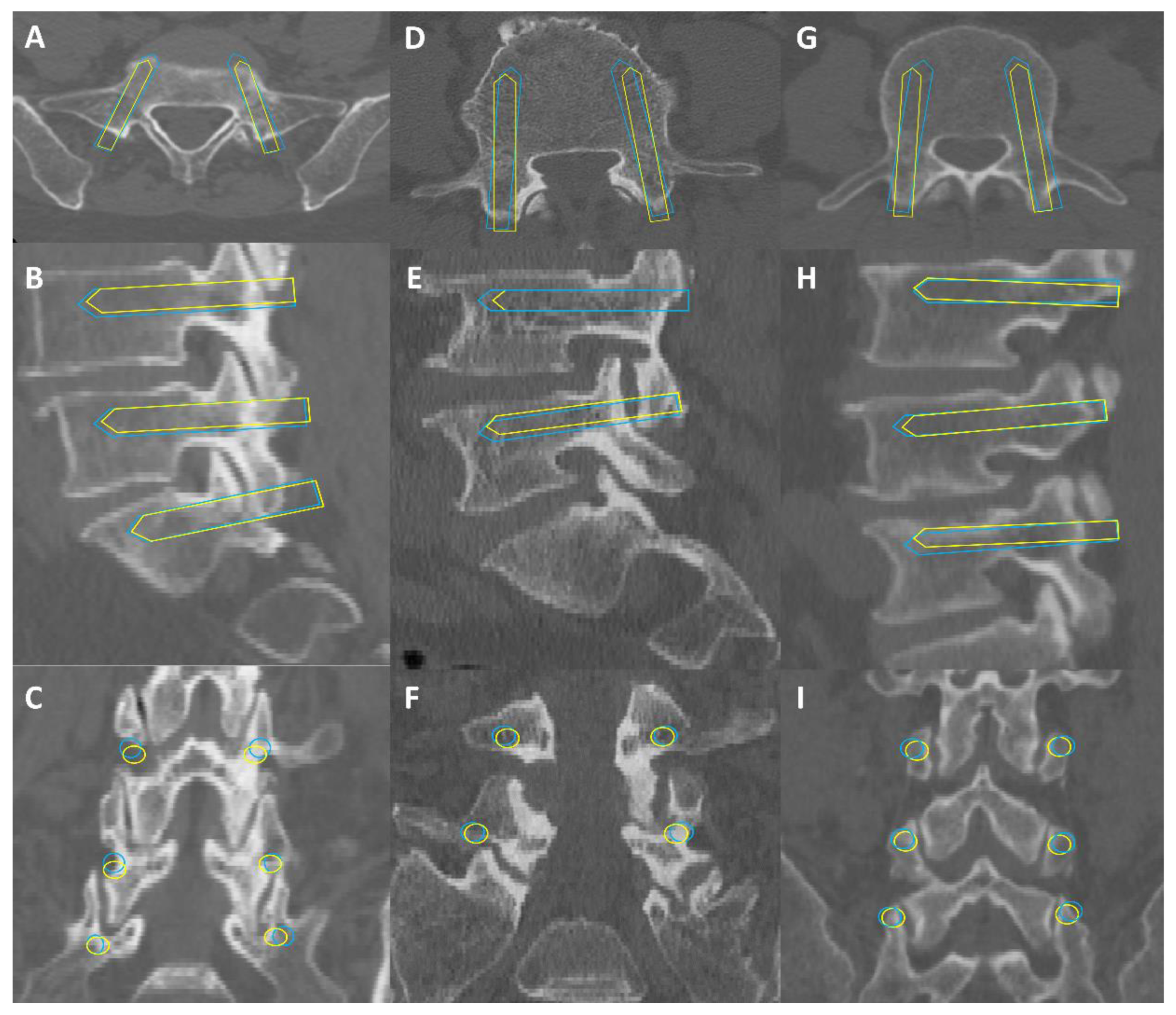 Bioengineering 11 01094 g008