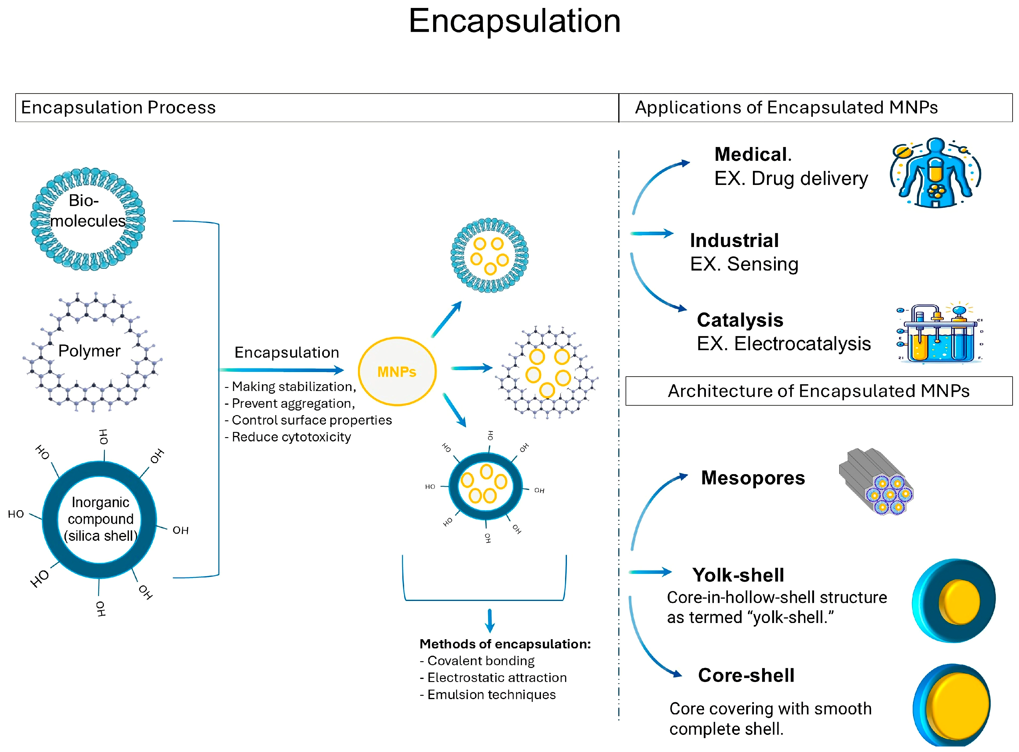 Bioengineering 11 01095 g004