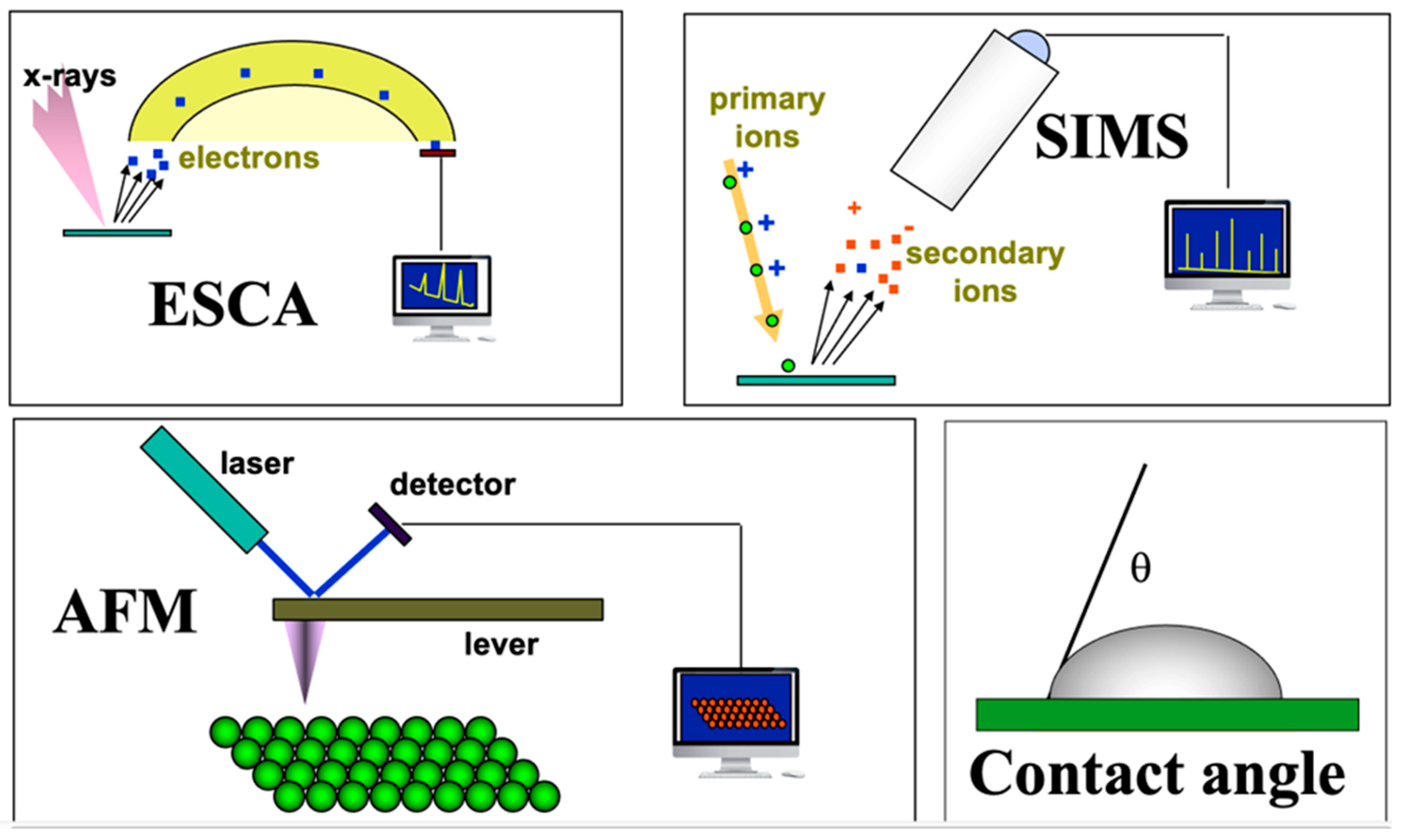 Bioengineering 11 01117 g001