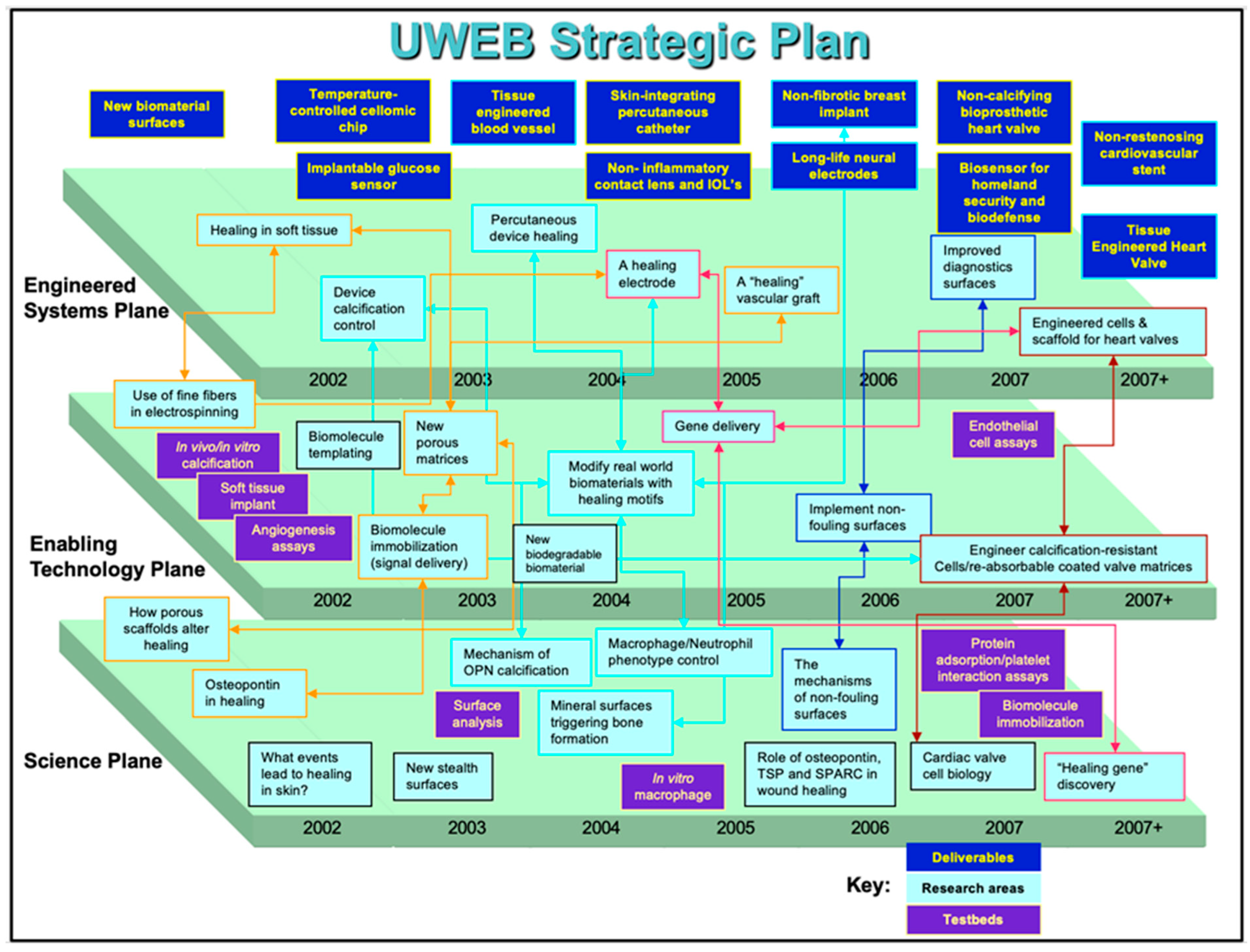 Bioengineering 11 01117 g002