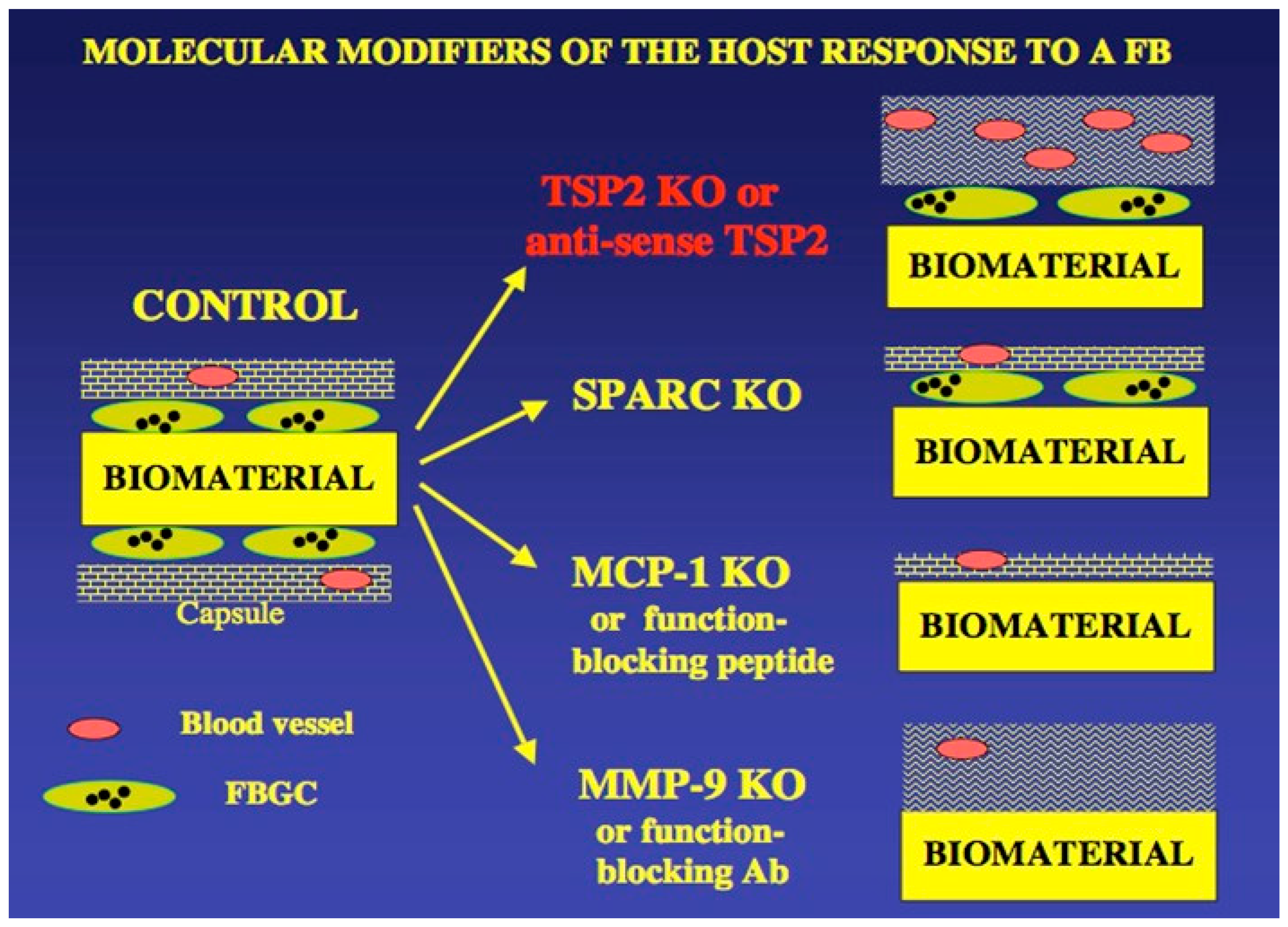 Bioengineering 11 01117 g005