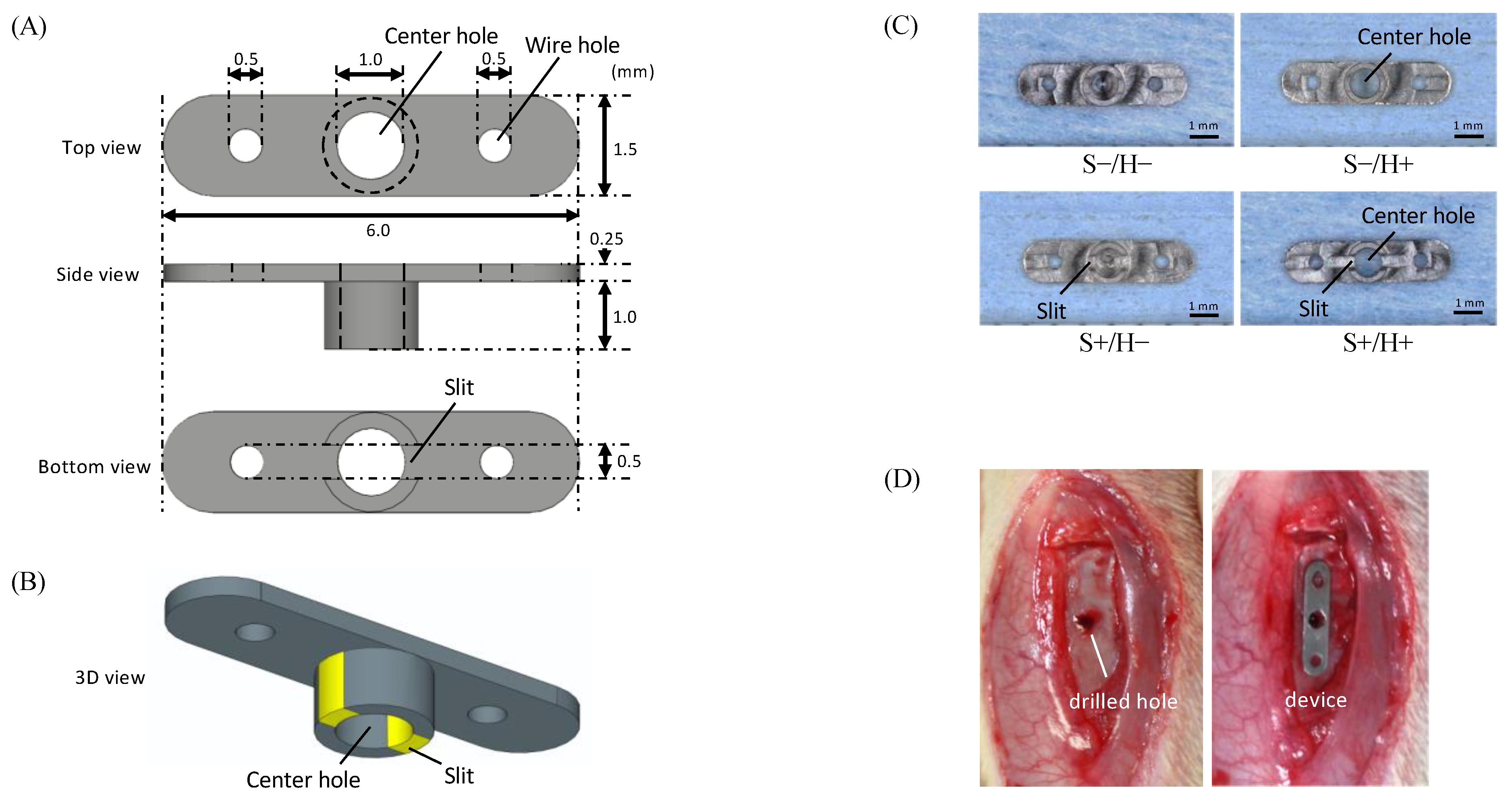 Bioengineering 11 01122 g001