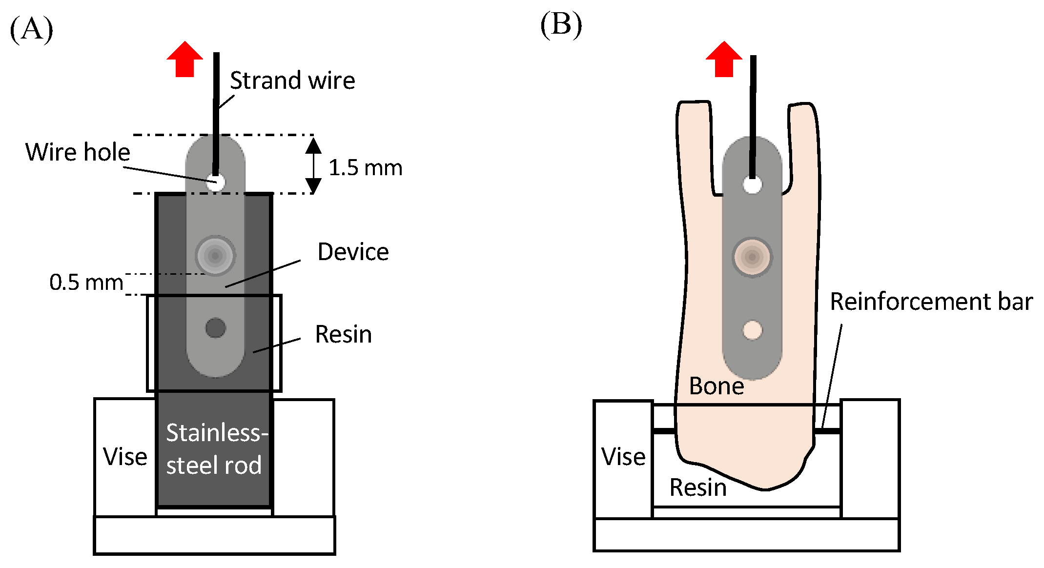 Bioengineering 11 01122 g002