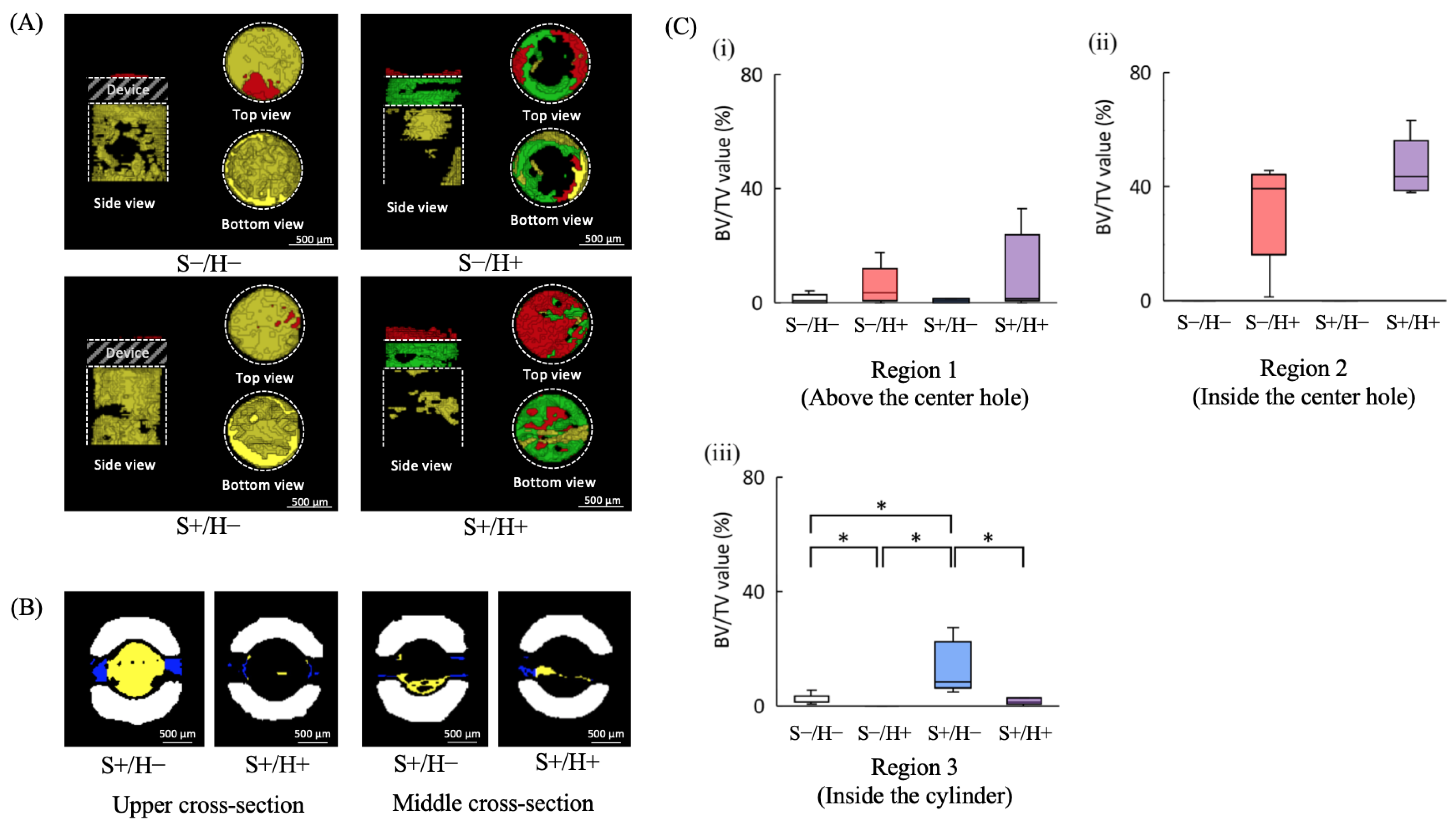 Bioengineering 11 01122 g006