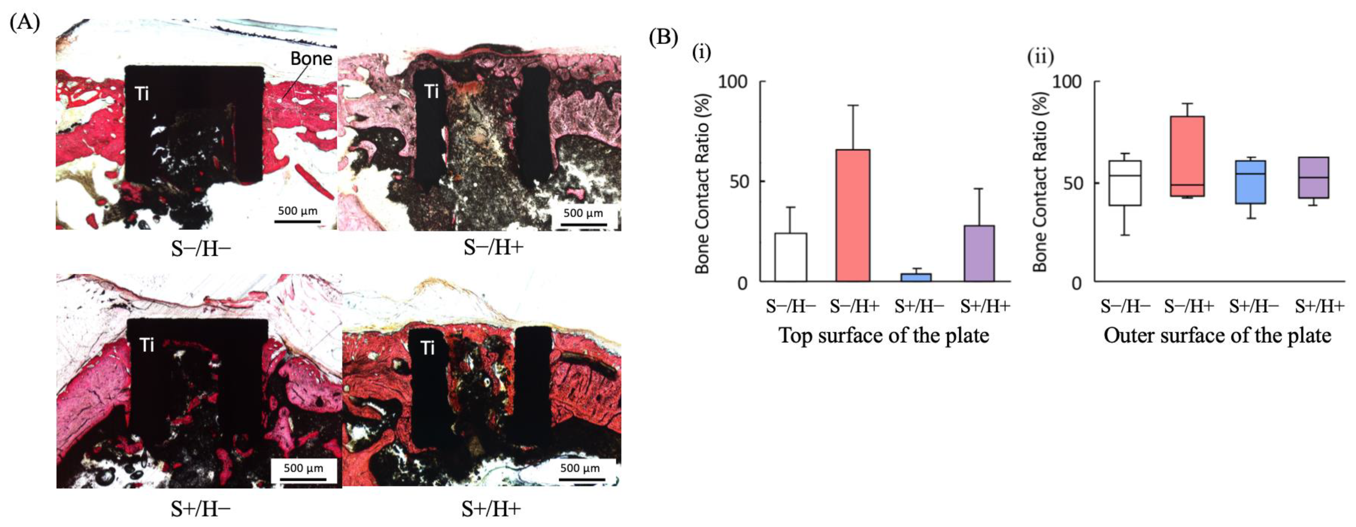 Bioengineering 11 01122 g007