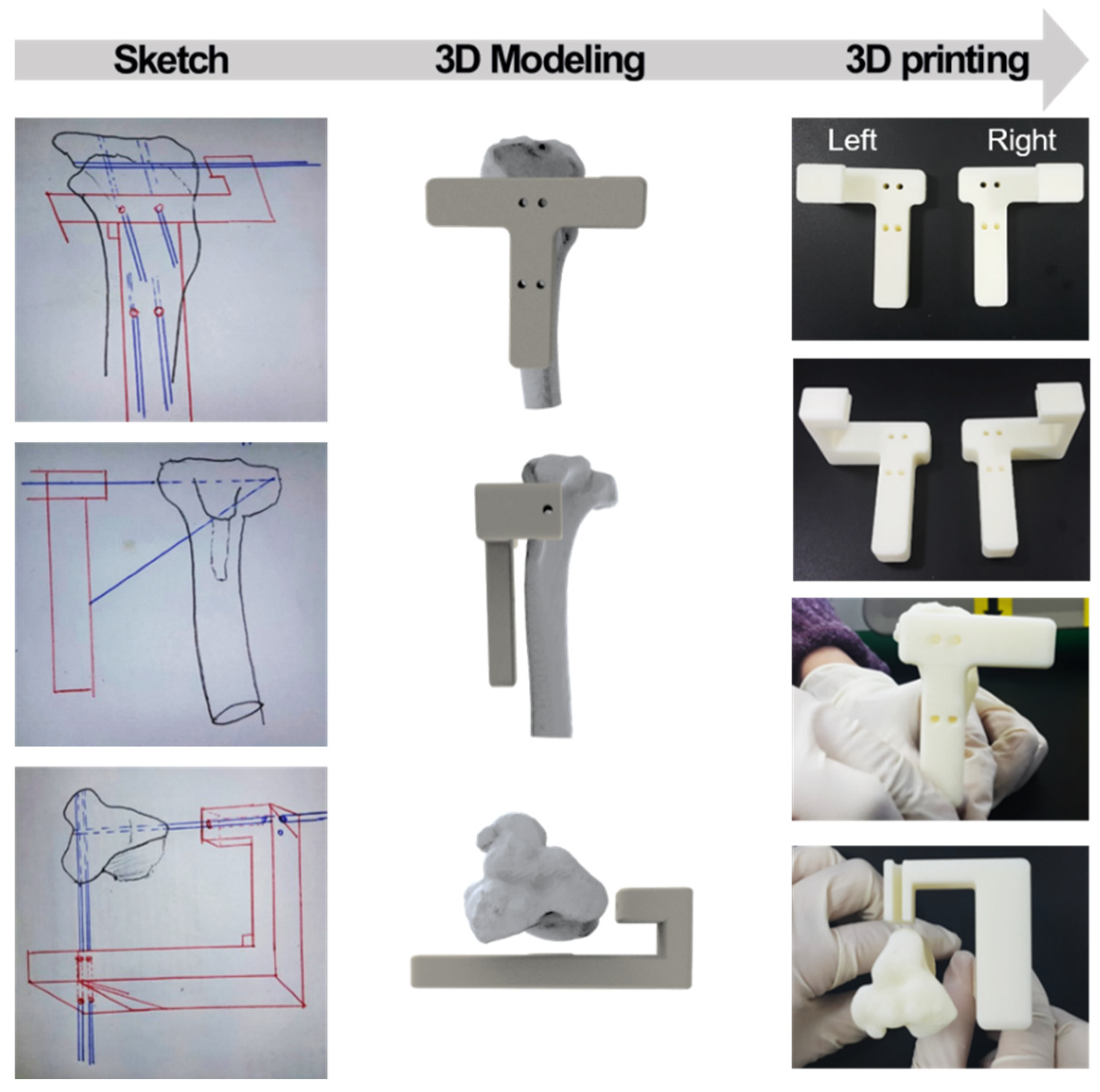 Bioengineering 11 01129 g002