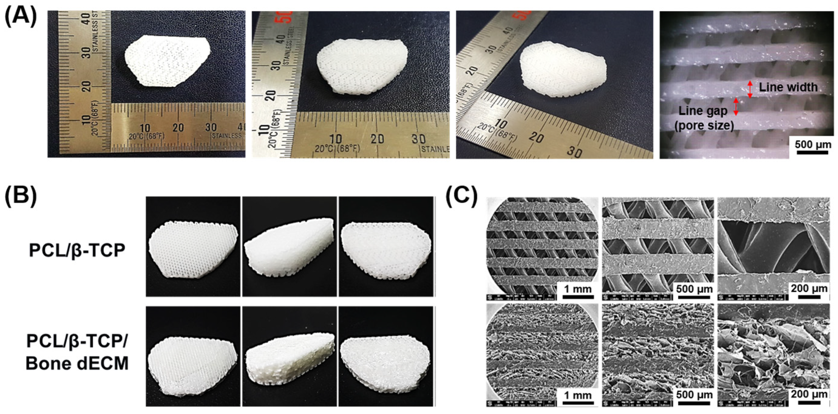 Bioengineering 11 01129 g003