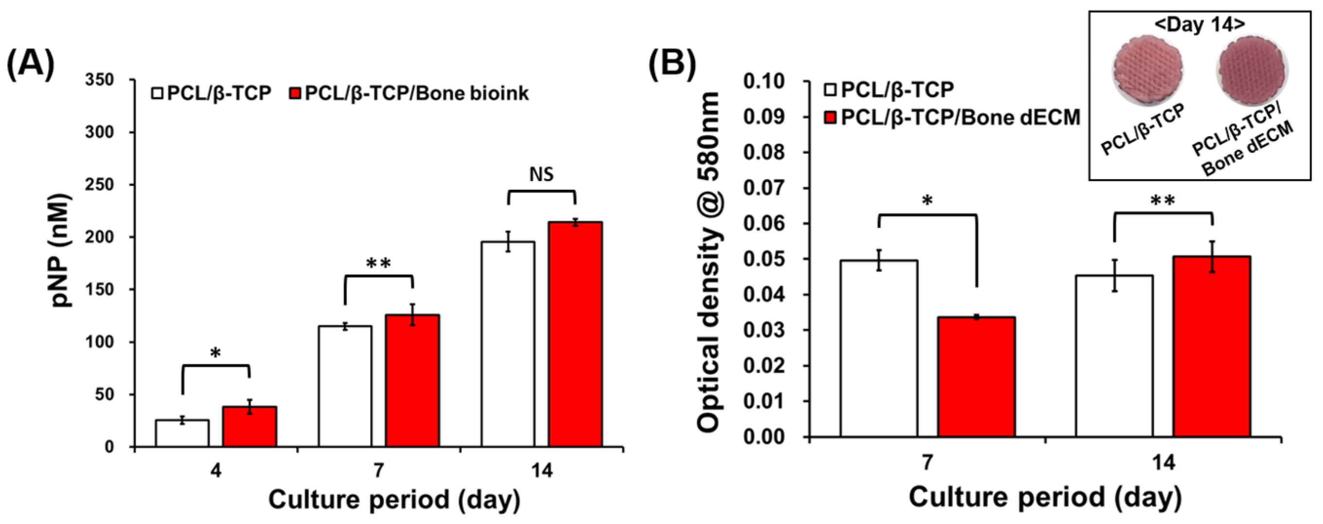Bioengineering 11 01129 g005