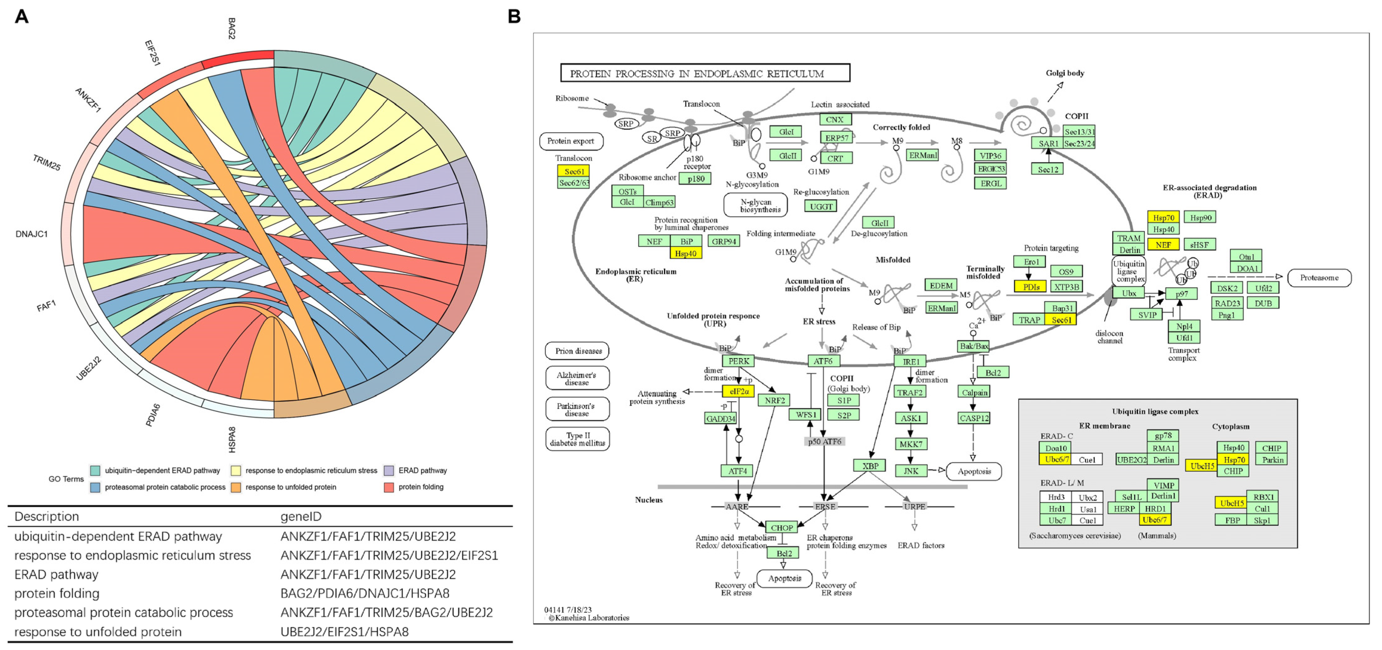 Bioengineering 11 01136 g004
