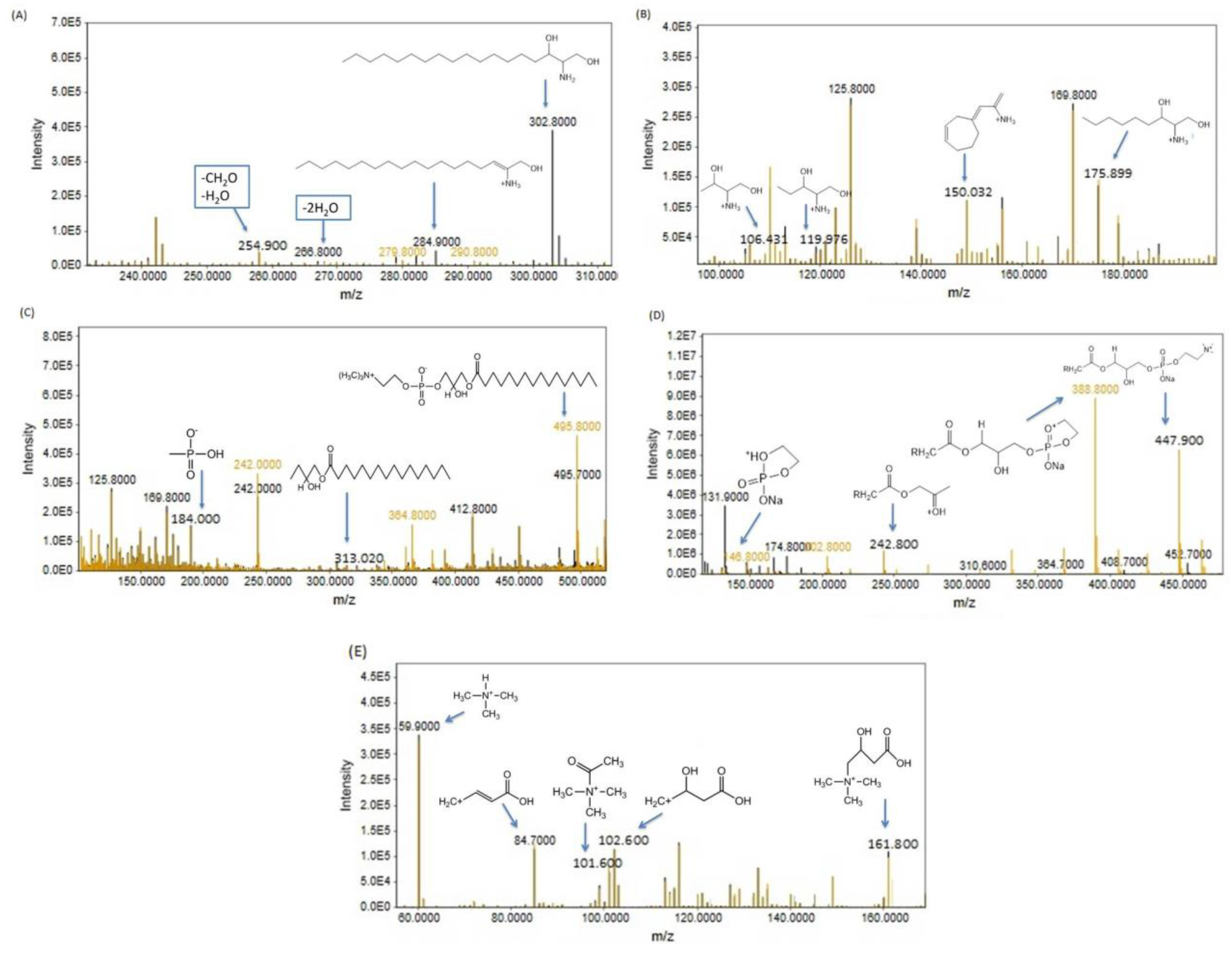 Bioengineering 11 01141 g009