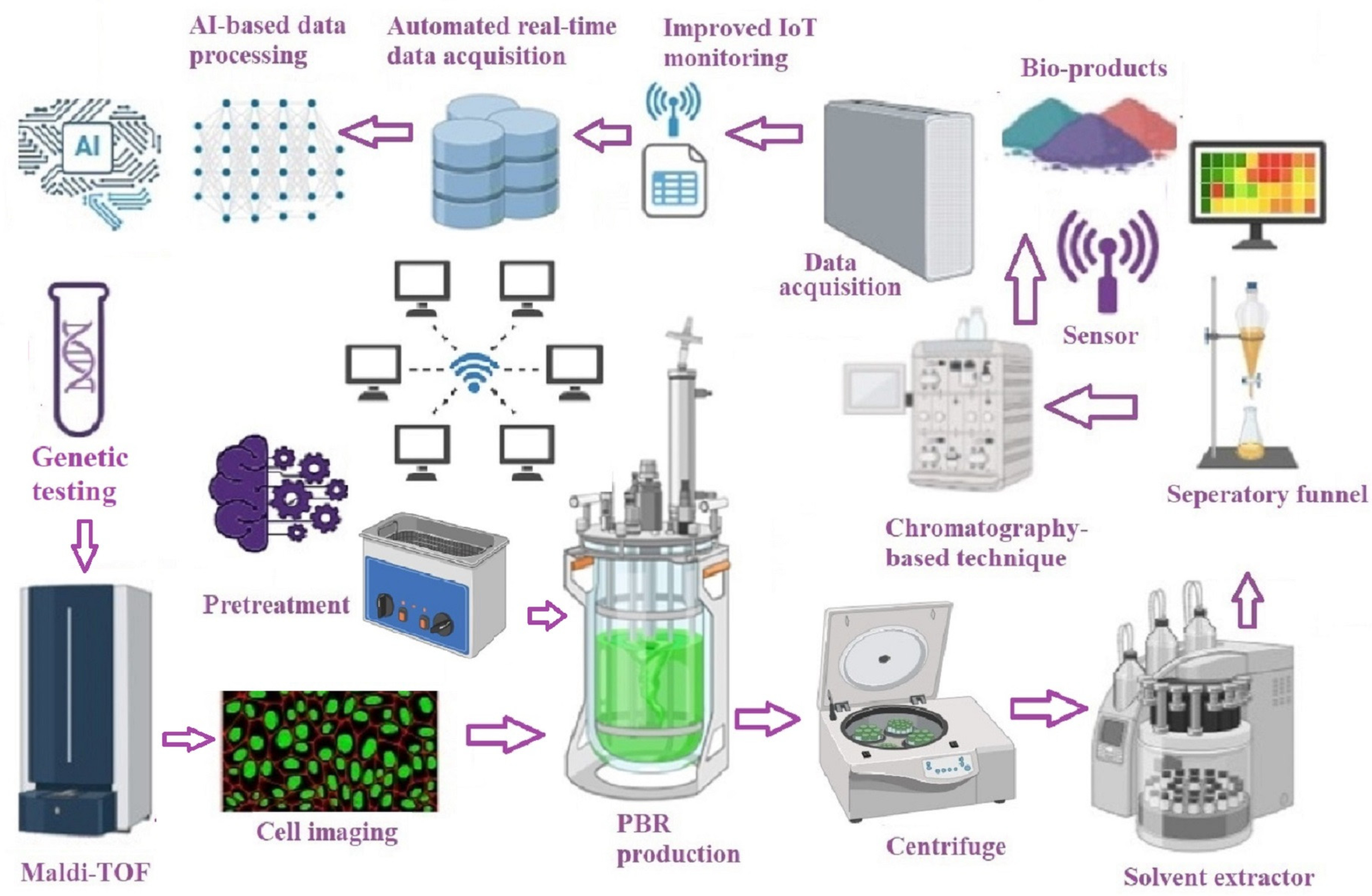 Bioengineering 11 01143 g003