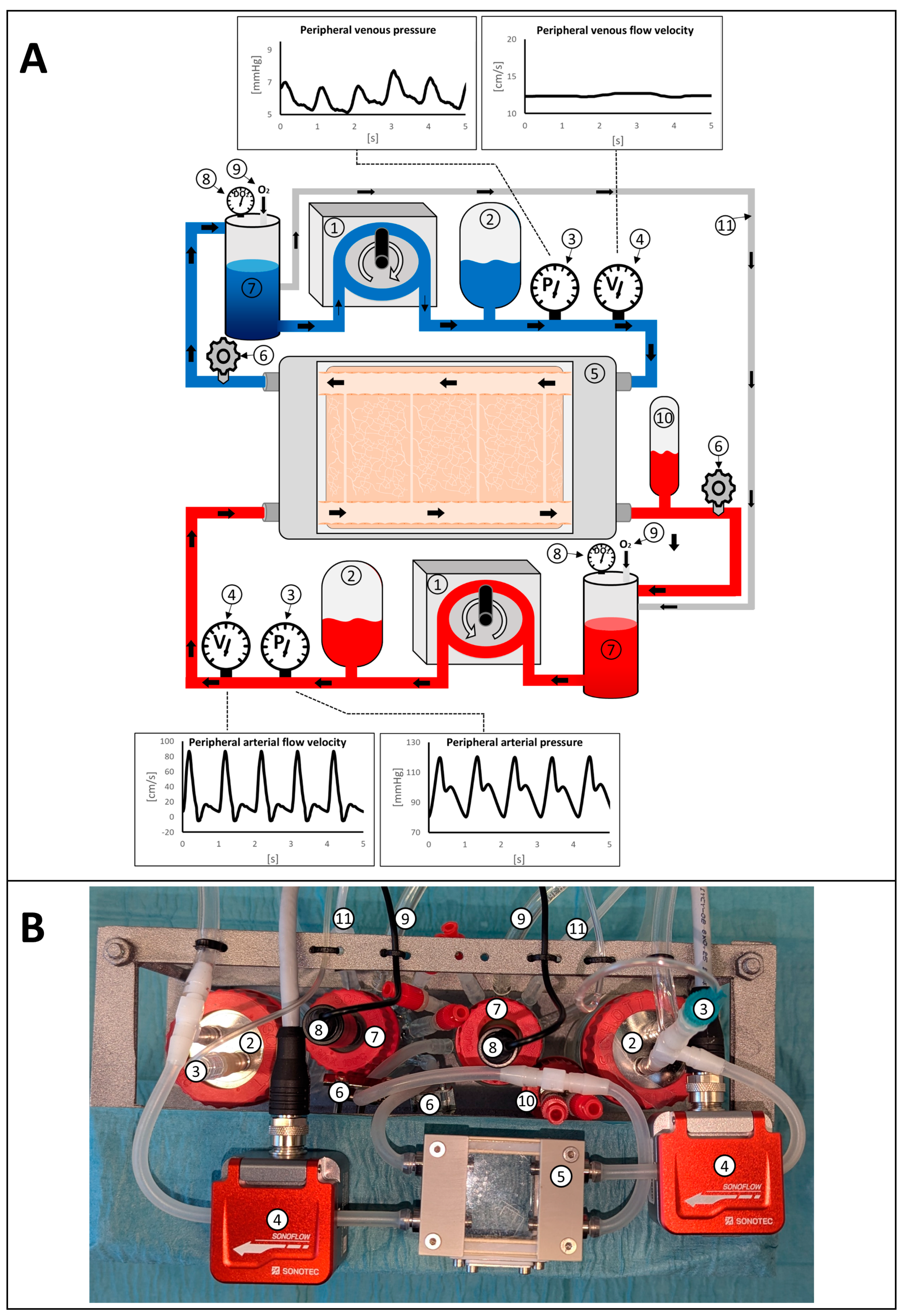 Bioengineering 11 01147 g002