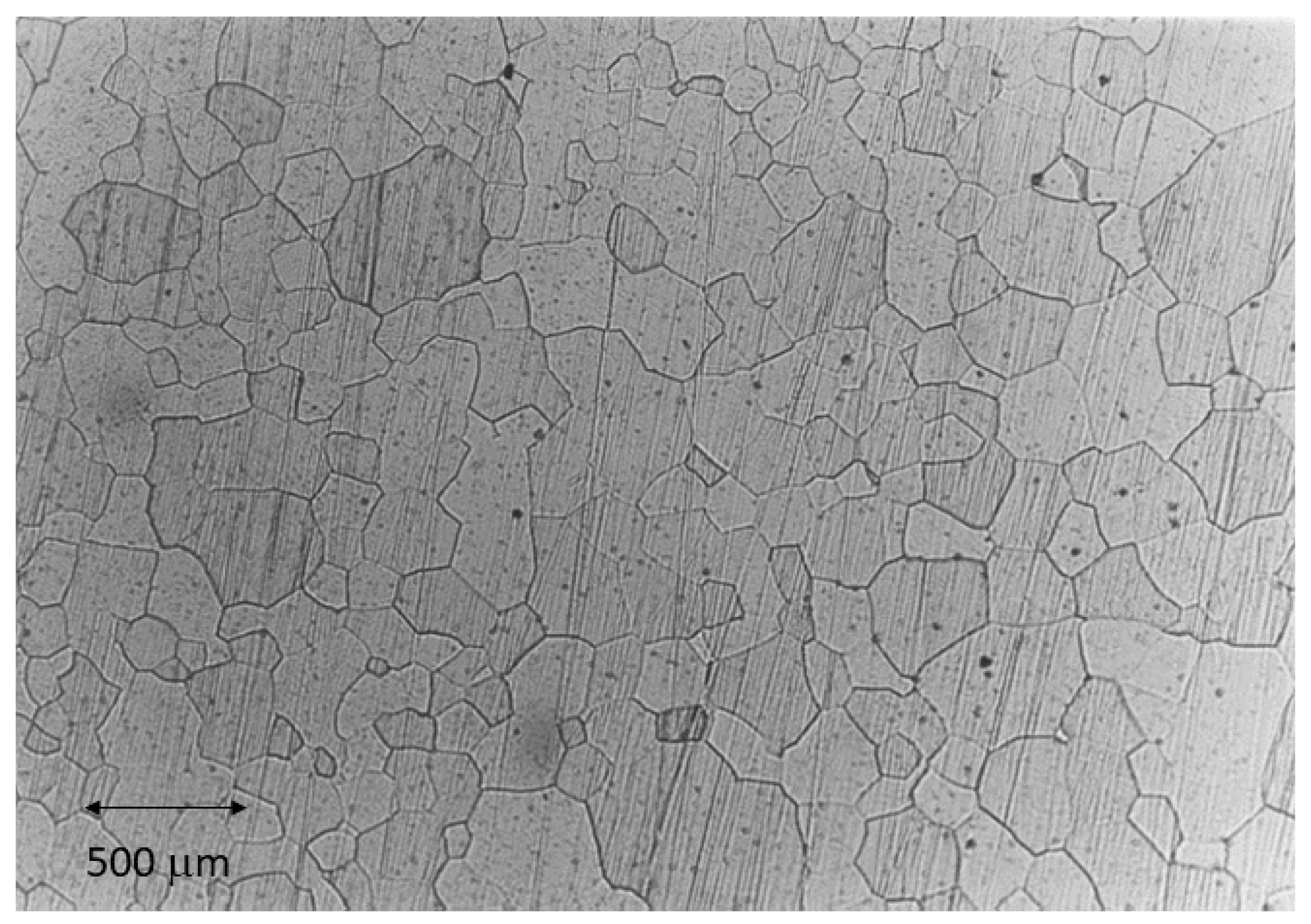 Bioengineering 11 01149 g001