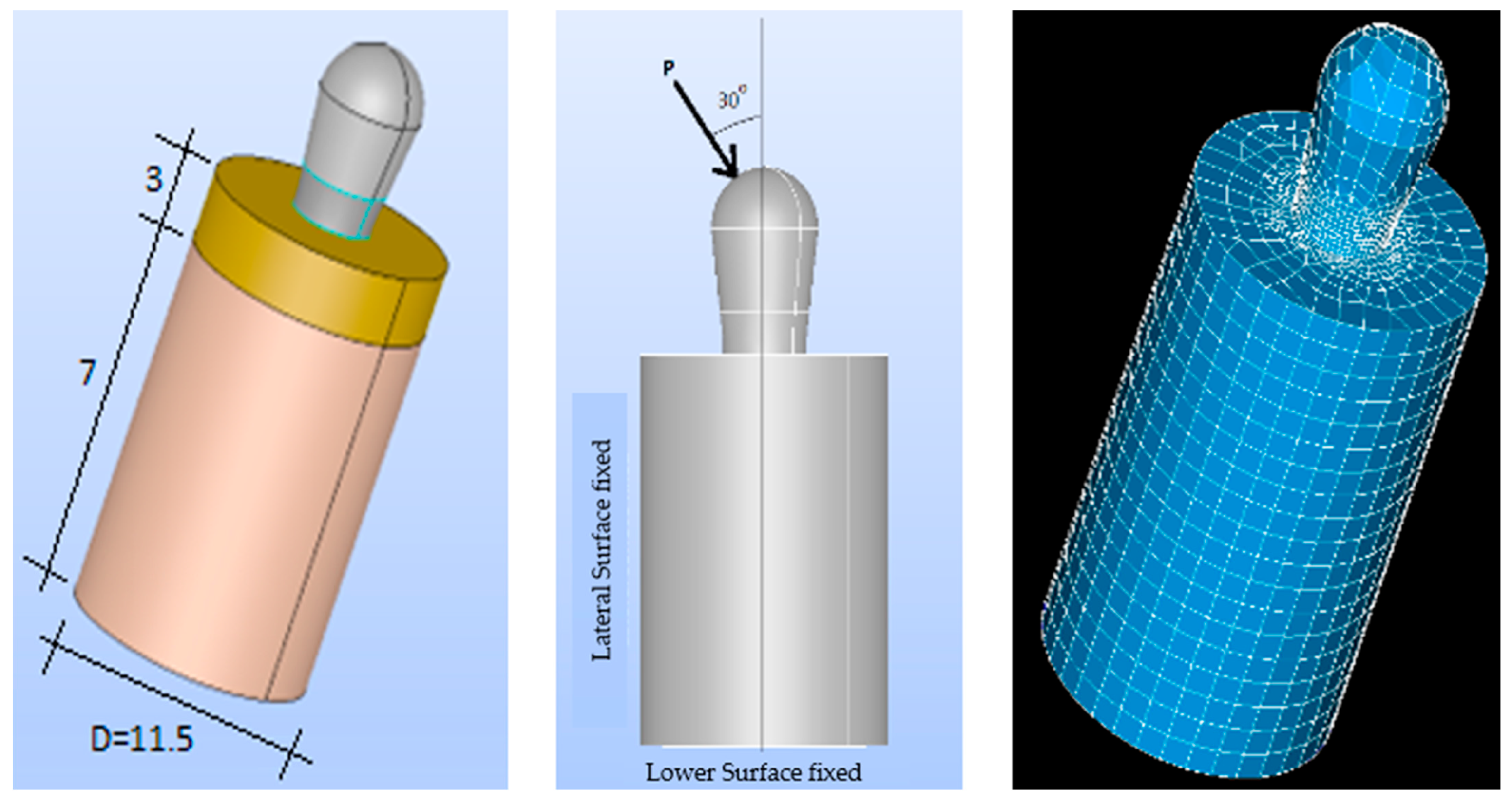 Bioengineering 11 01149 g005