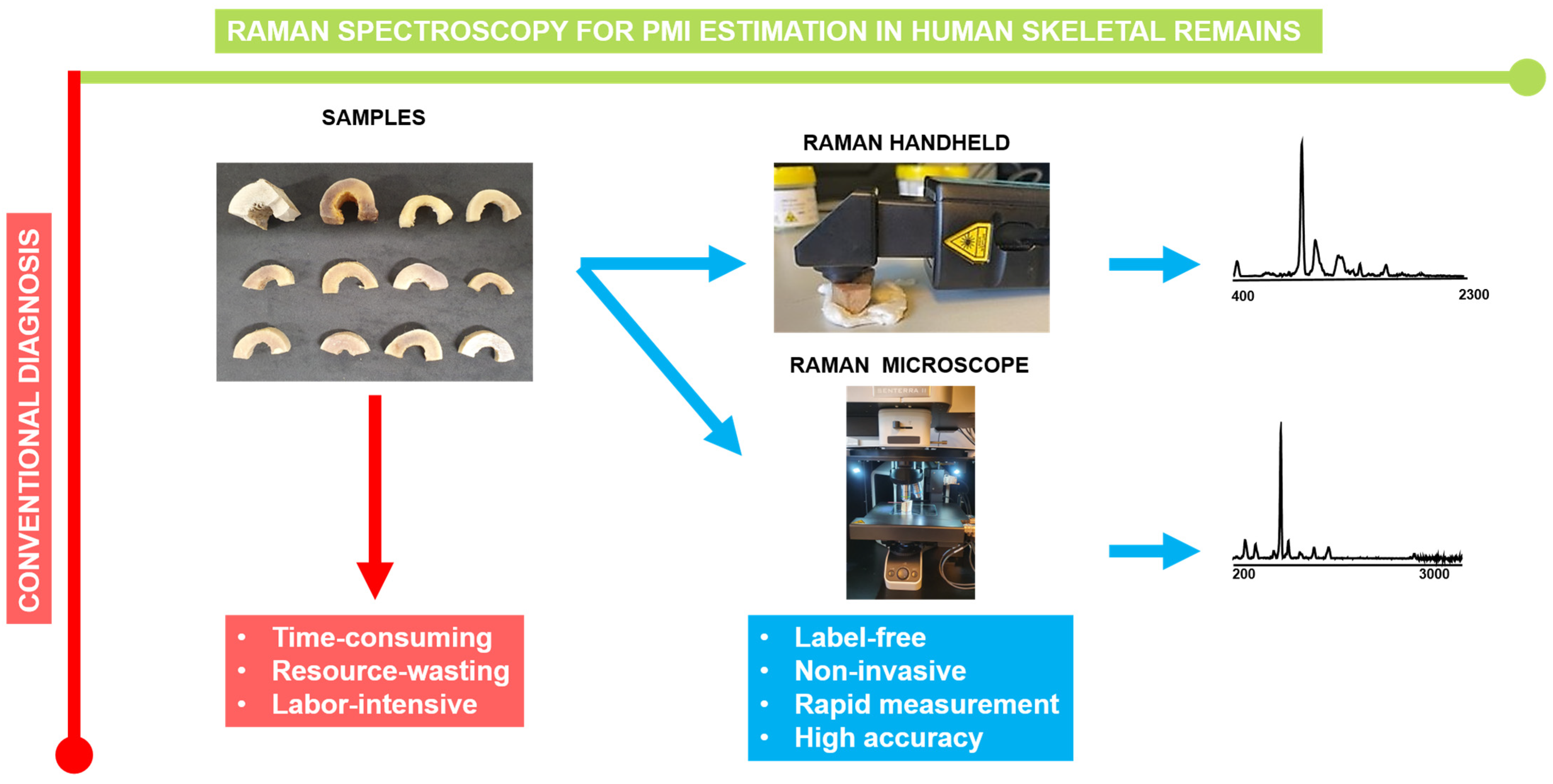 Bioengineering 11 01151 g001