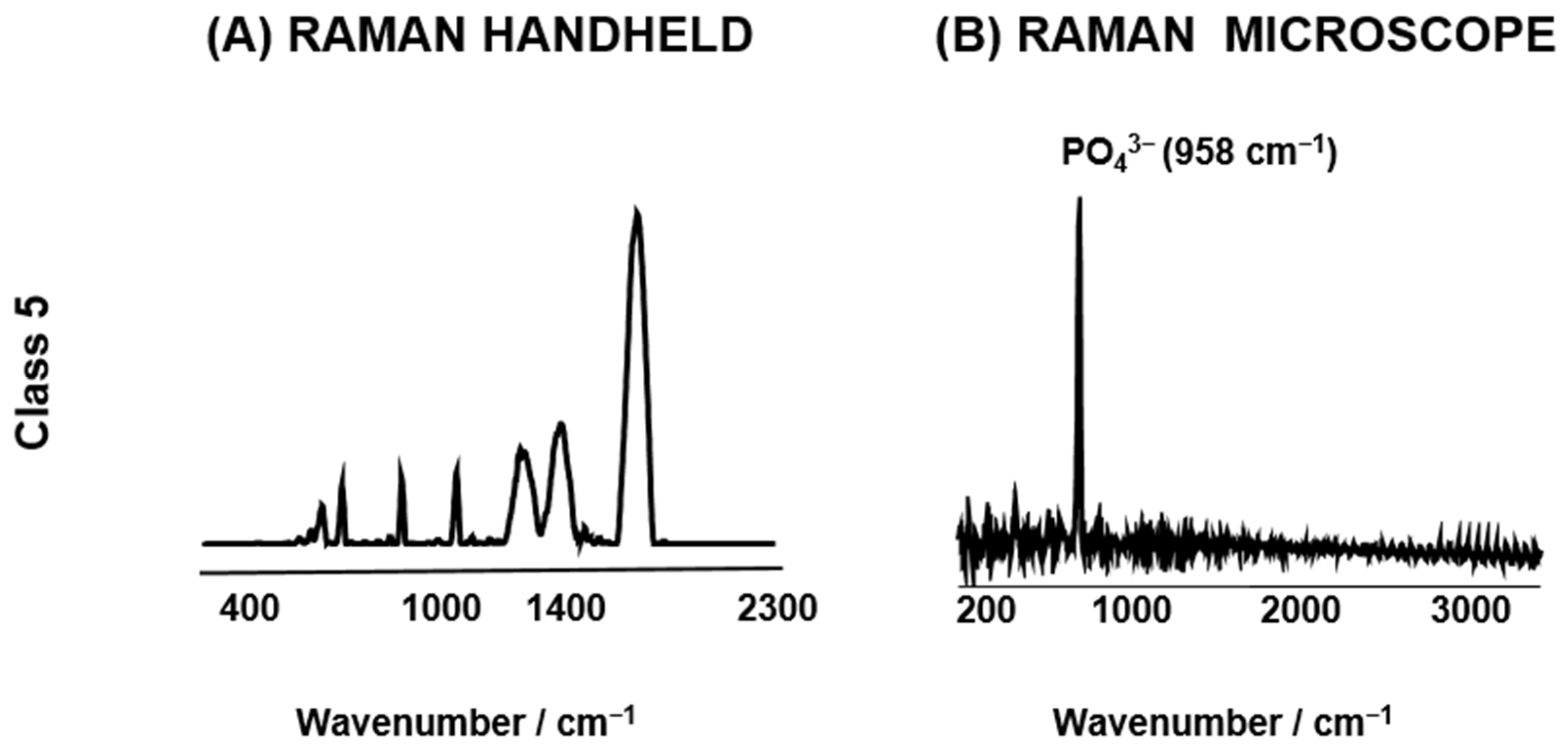 Bioengineering 11 01151 g002