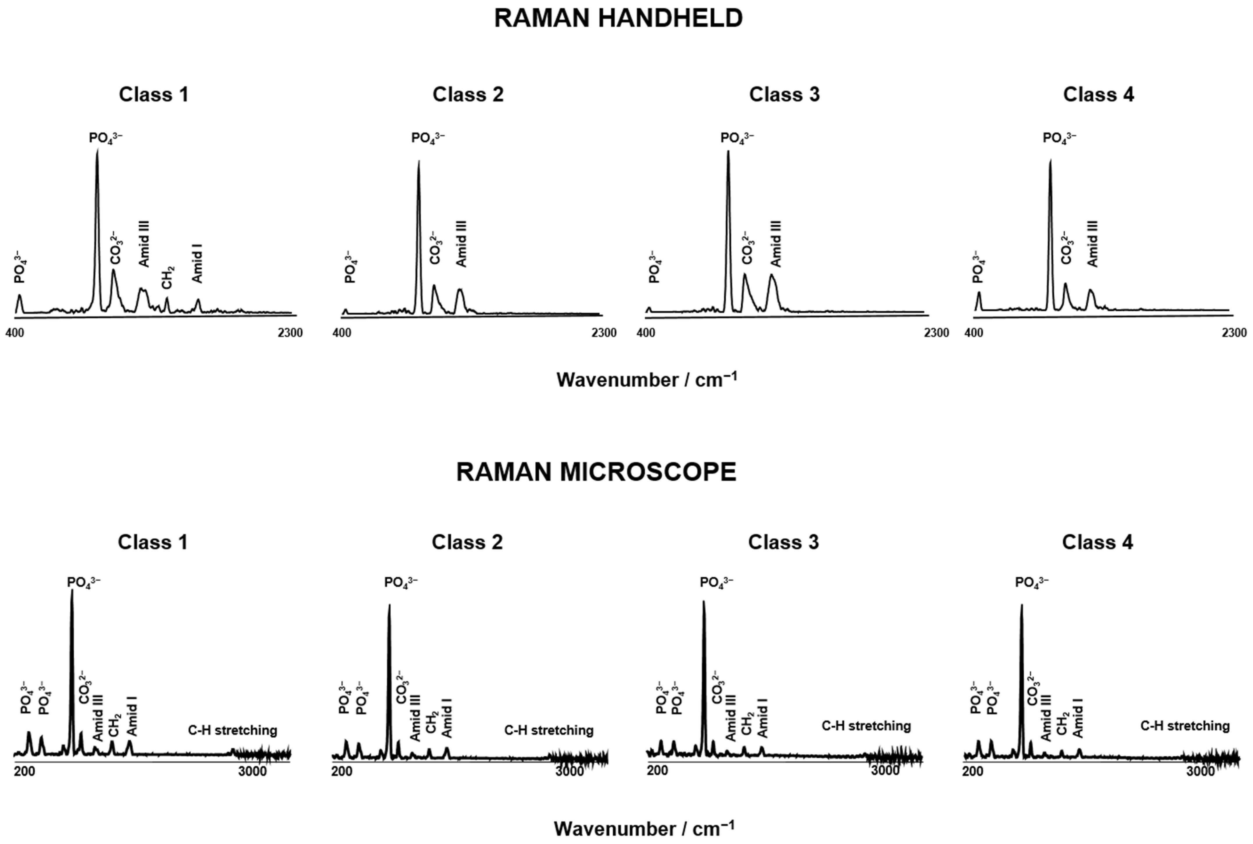 Bioengineering 11 01151 g003
