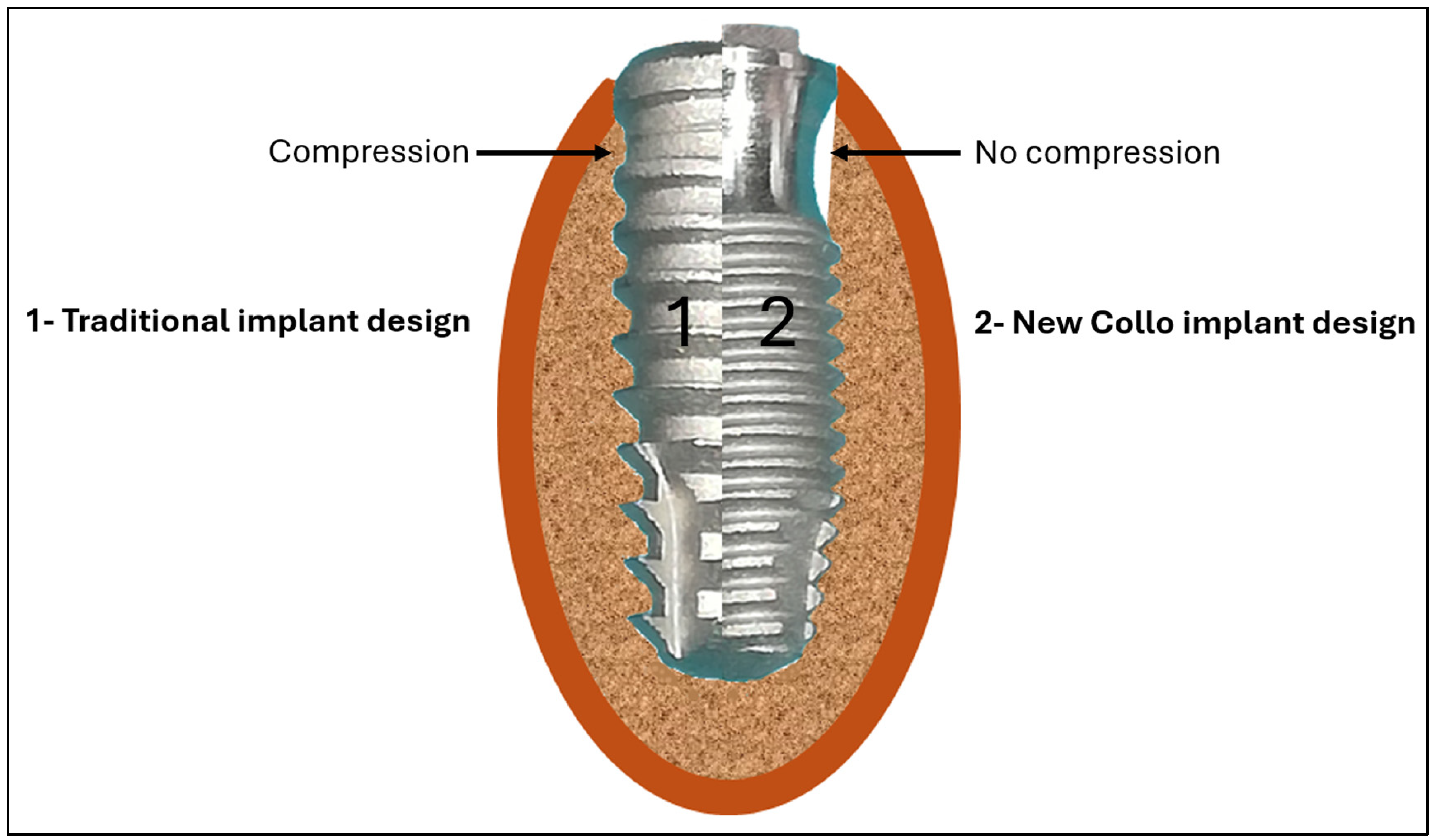 Bioengineering 11 01155 g001
