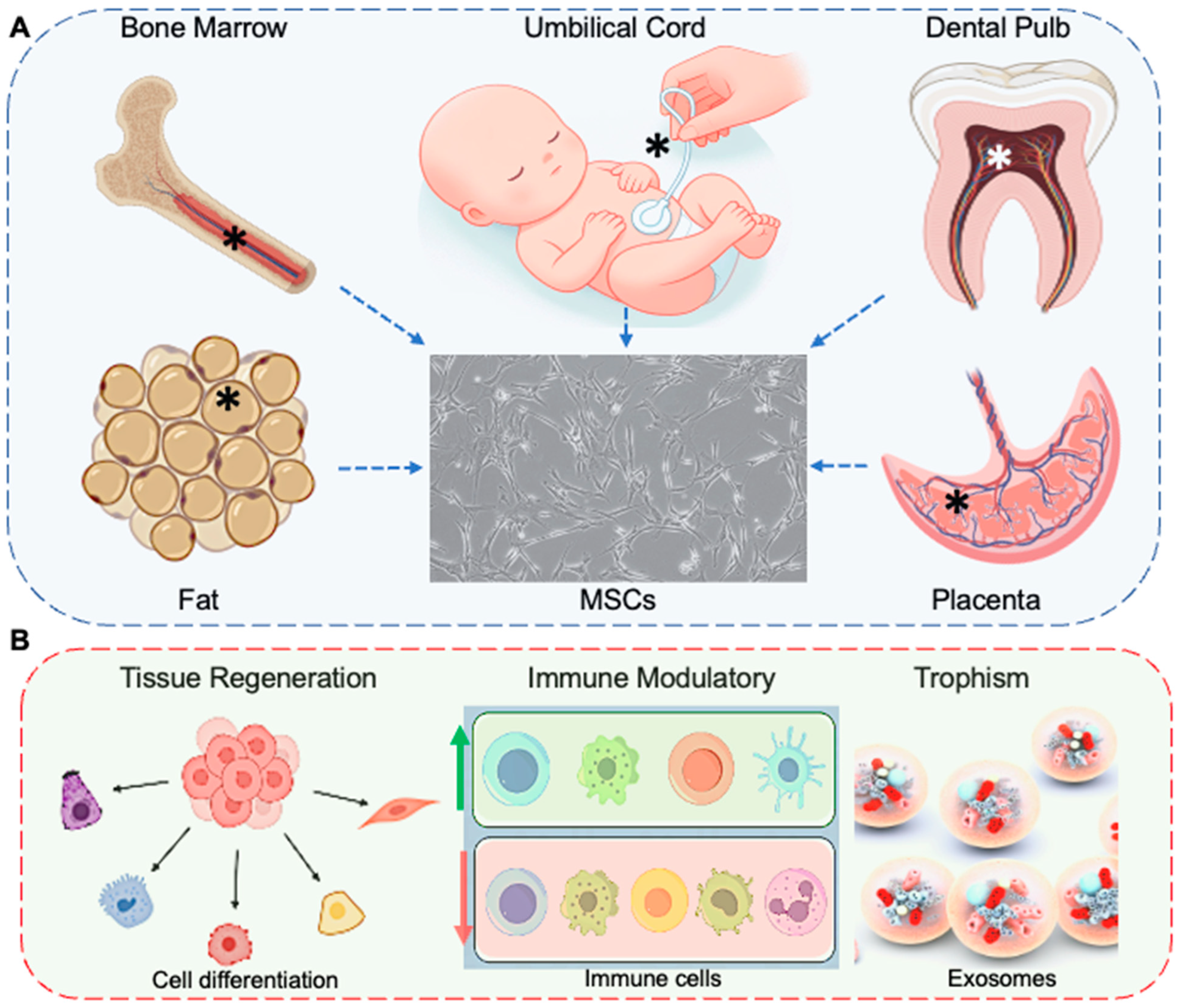 Bioengineering 11 01160 g002
