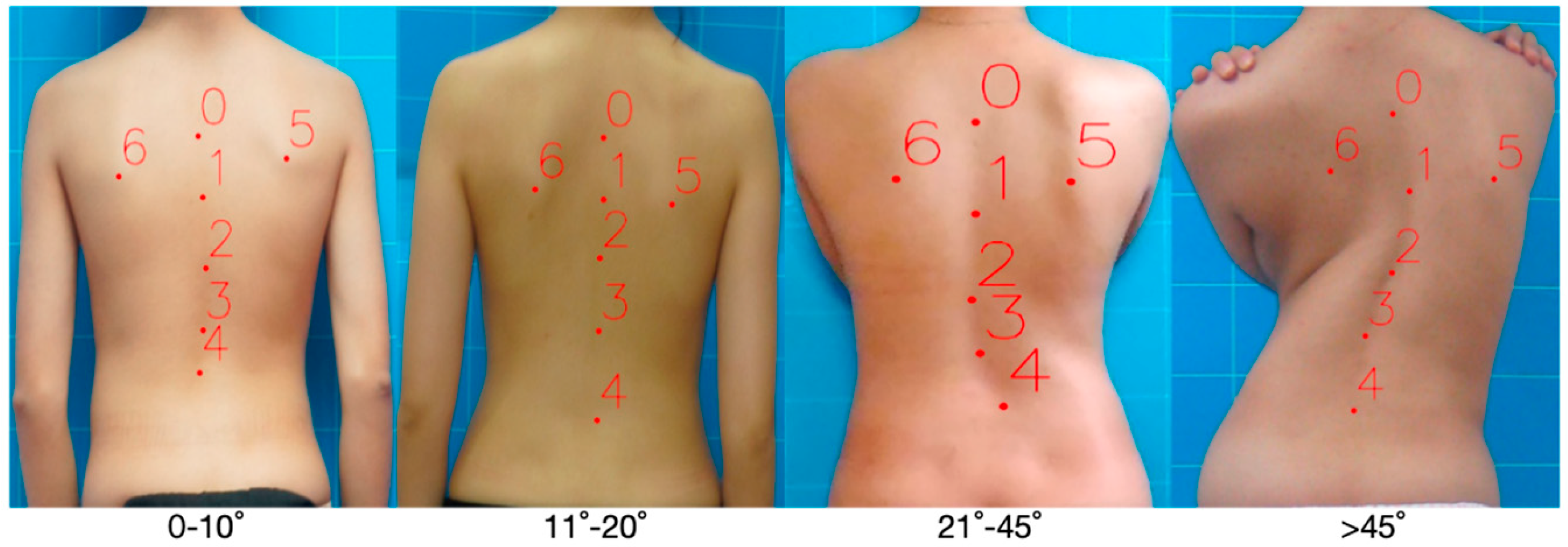 Bioengineering 11 01162 g001