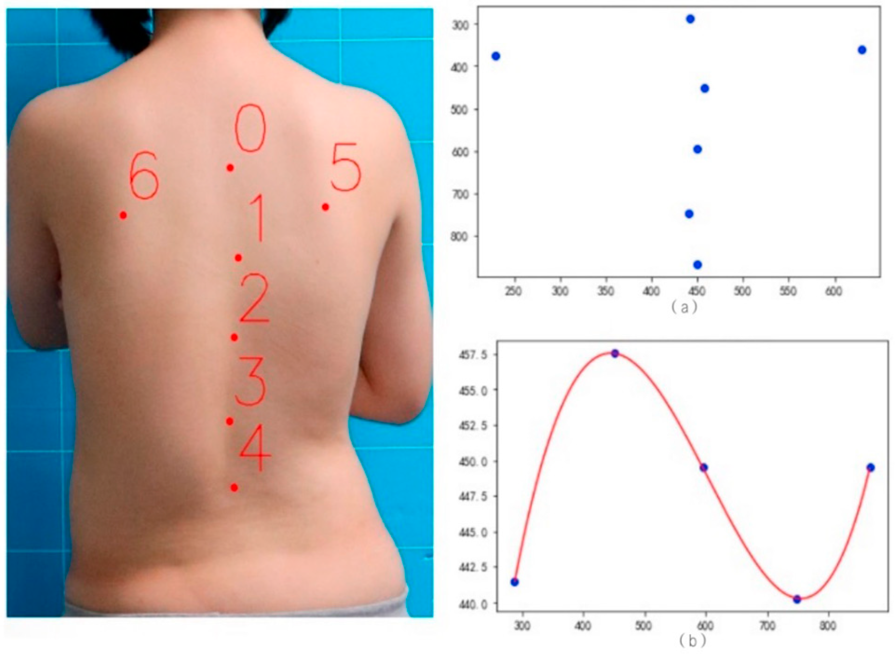Bioengineering 11 01162 g002