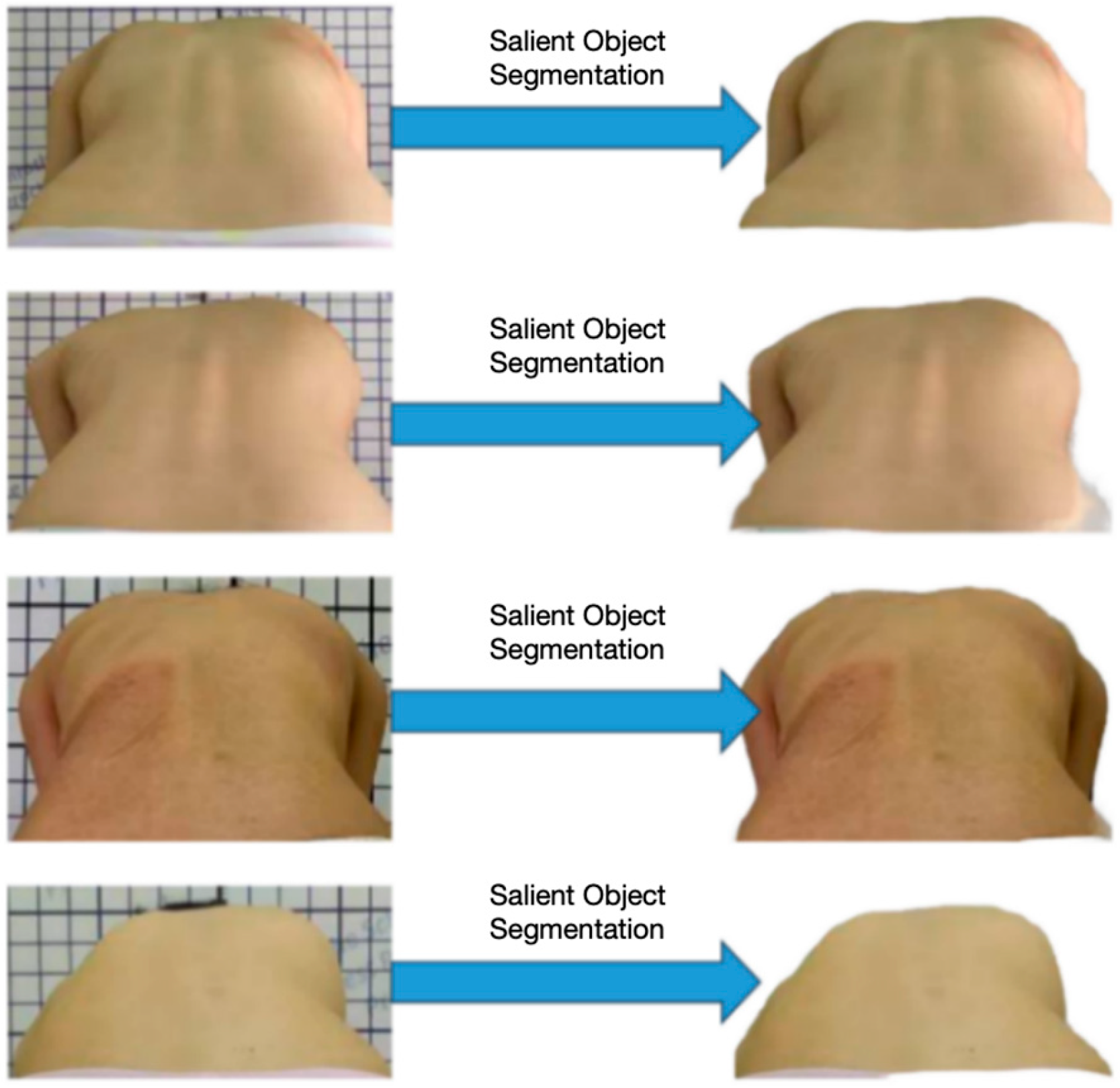 Bioengineering 11 01162 g005