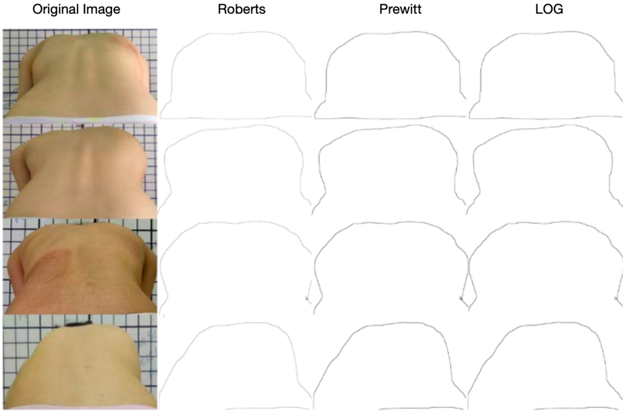 Bioengineering 11 01162 g006