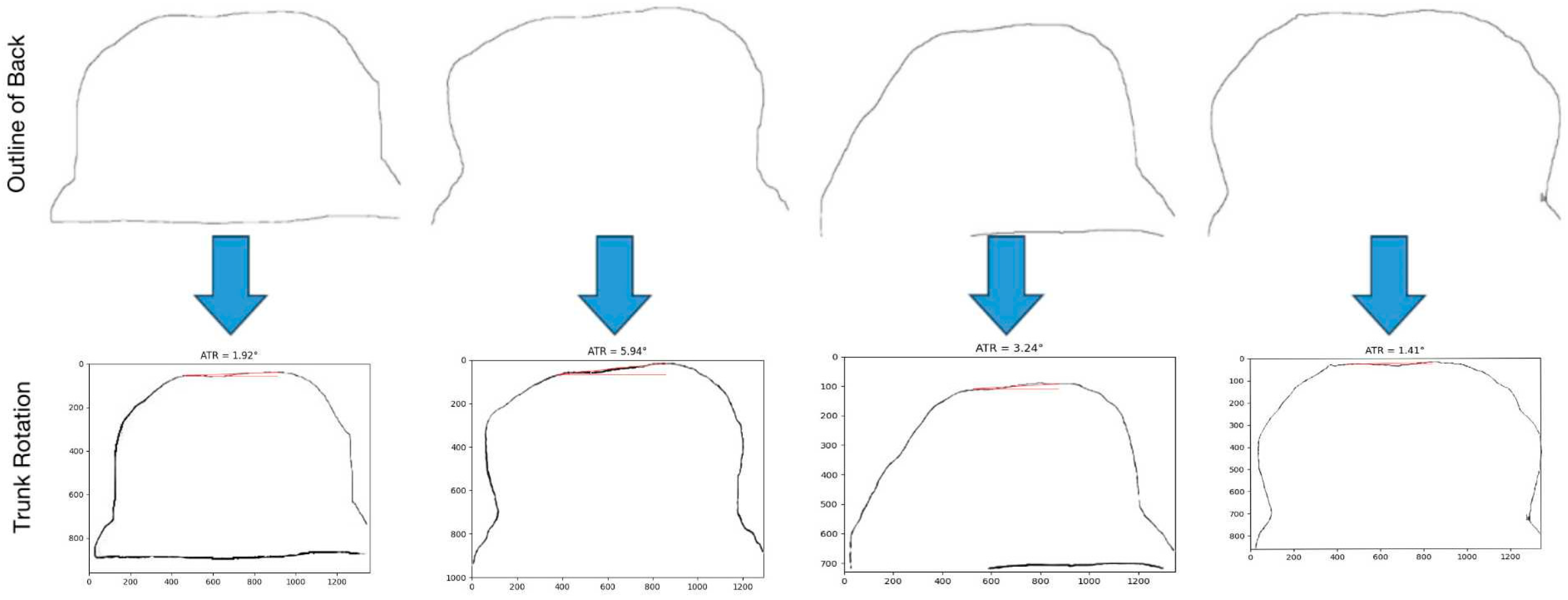 Bioengineering 11 01162 g008