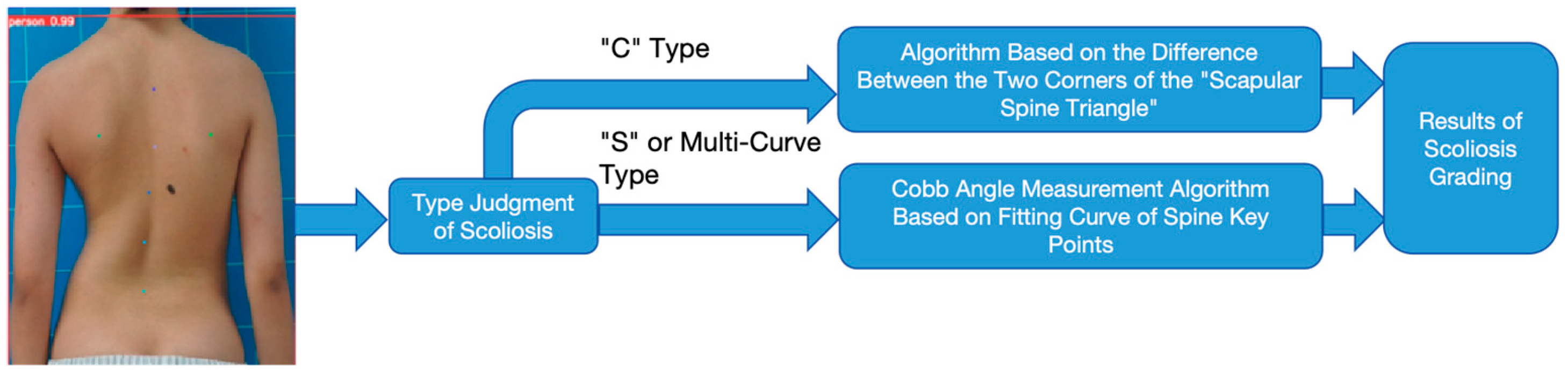 Bioengineering 11 01162 g011