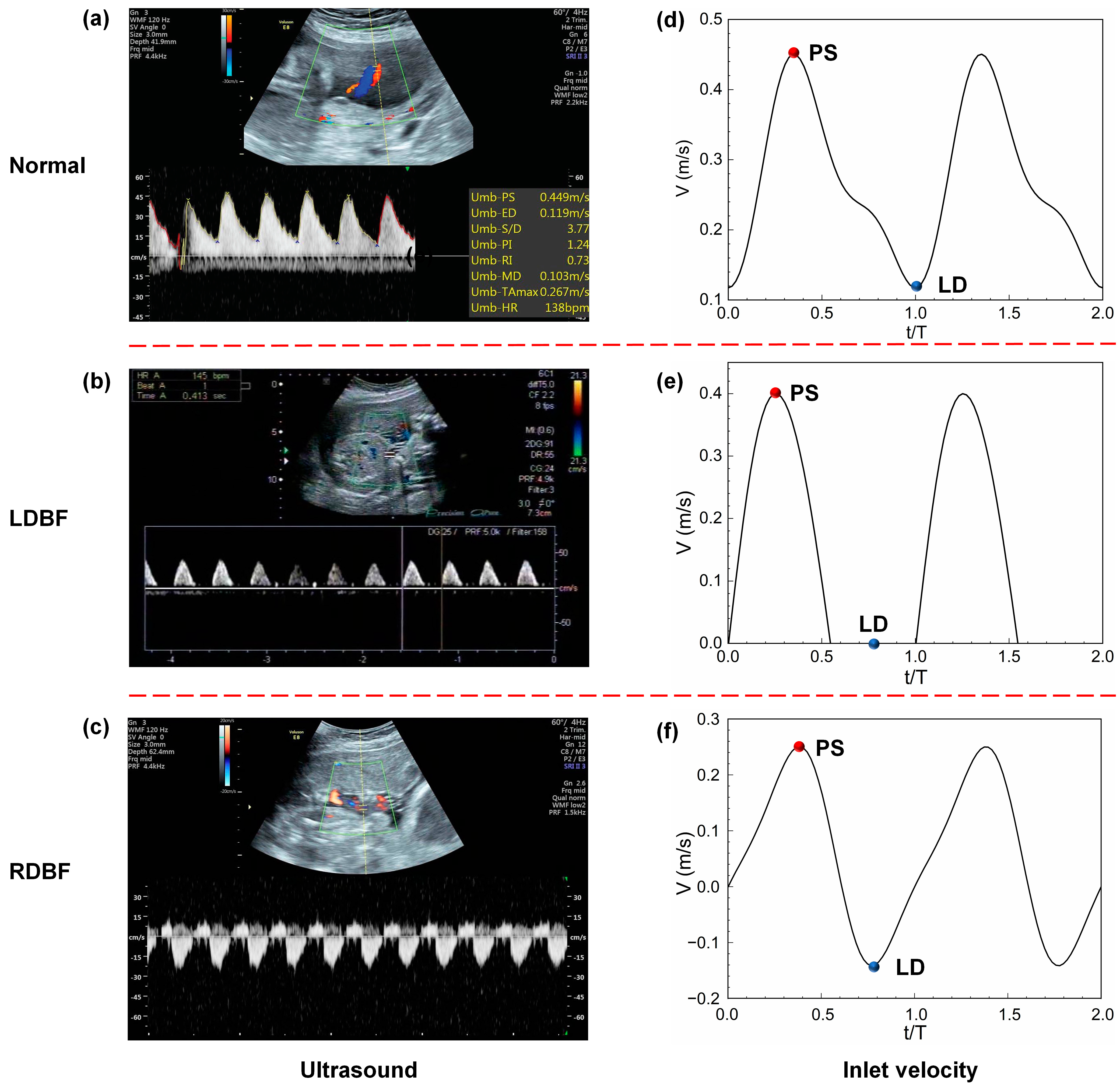 Bioengineering 11 01169 g001