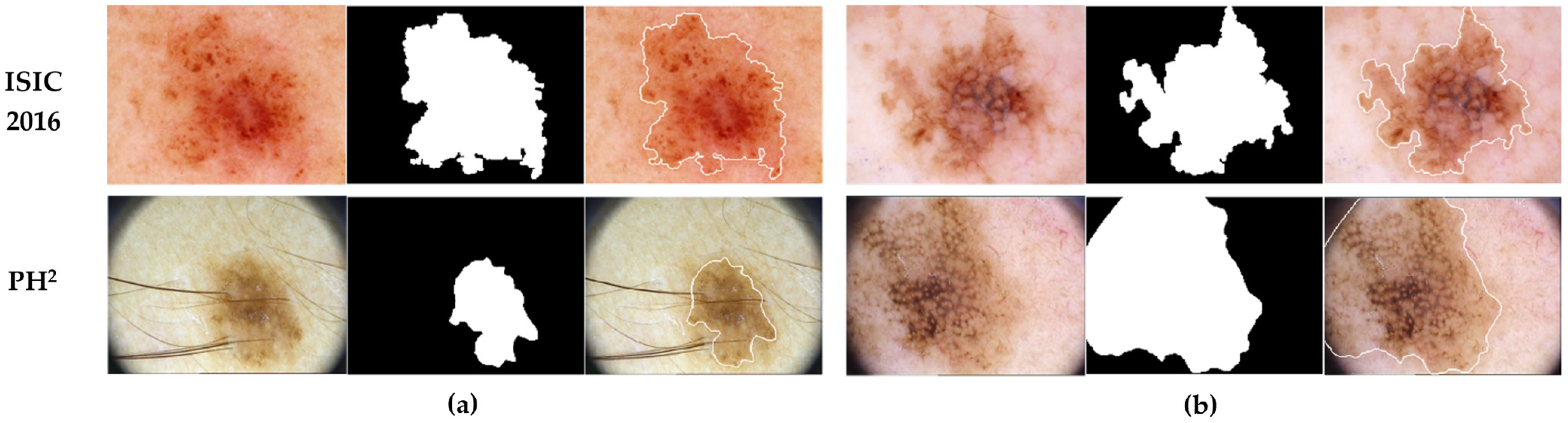 Bioengineering 11 01173 g001