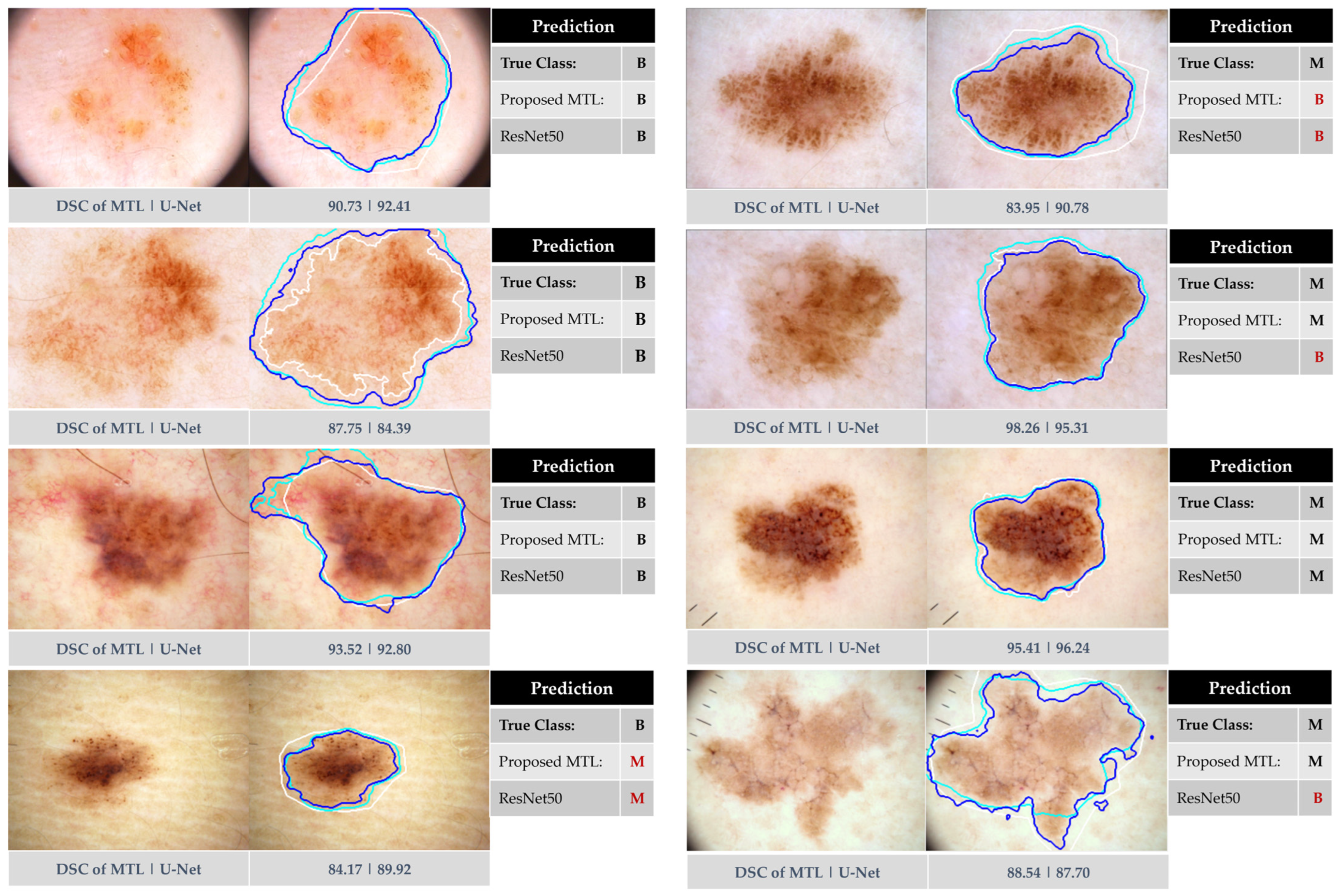 Bioengineering 11 01173 g005