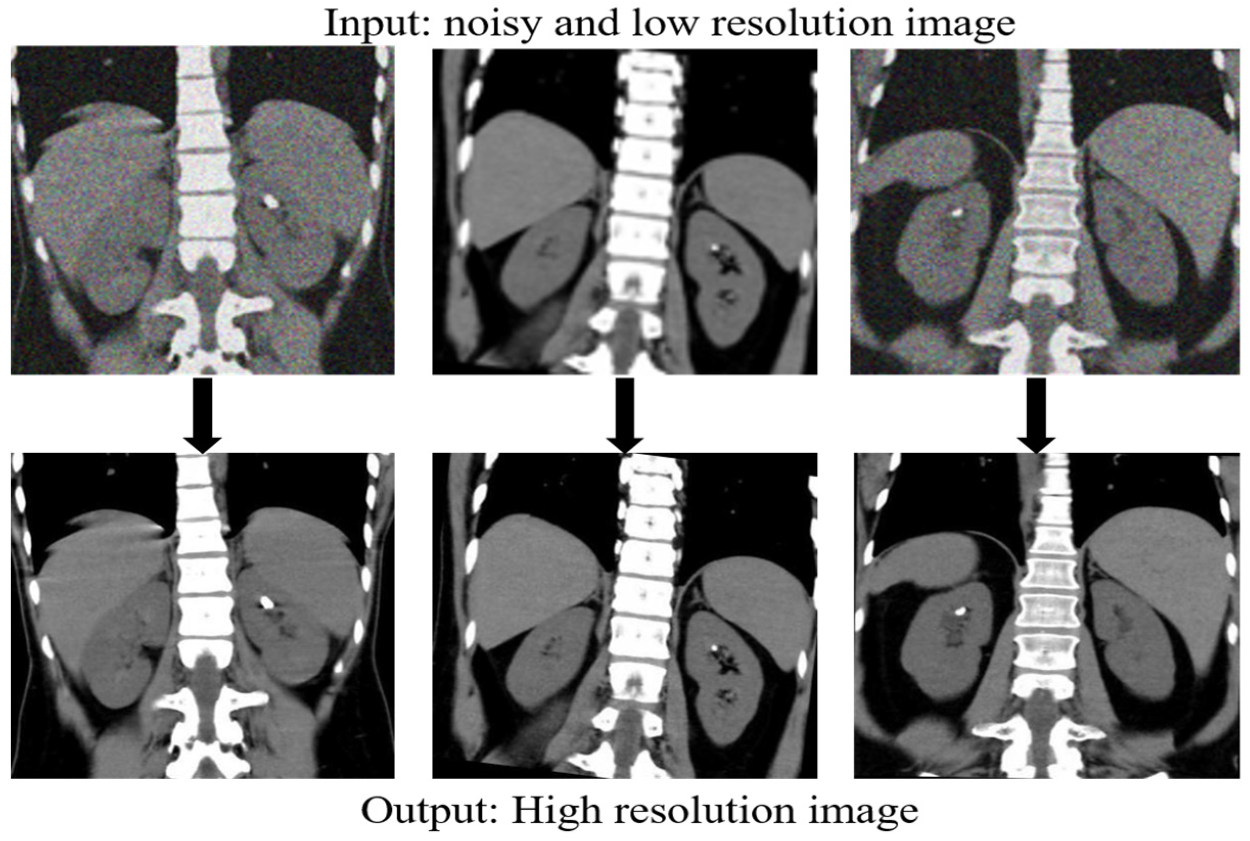 Bioengineering 11 01179 g005