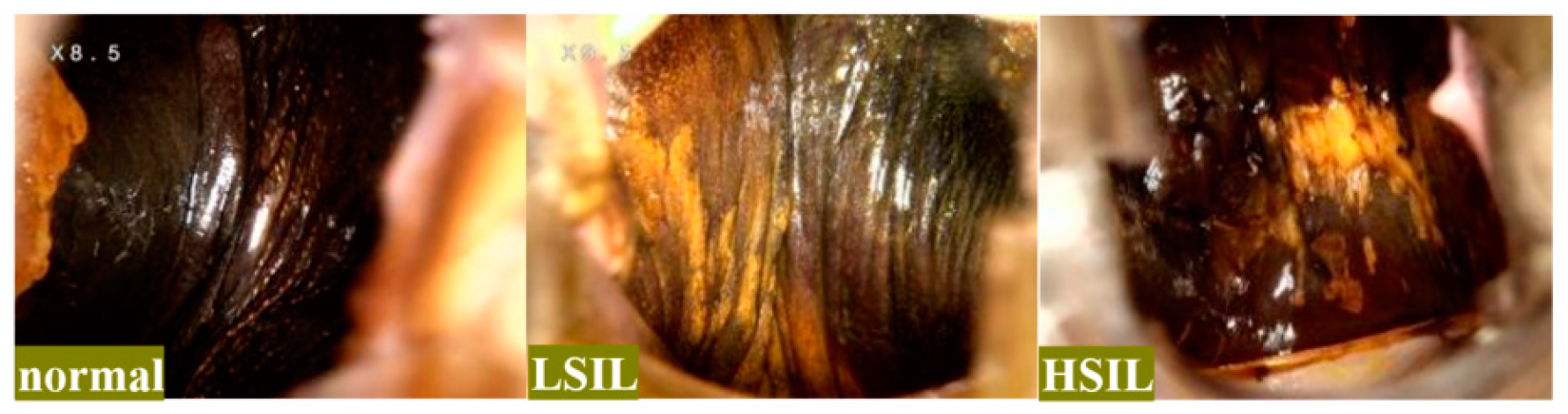 Bioengineering 11 01182 g001