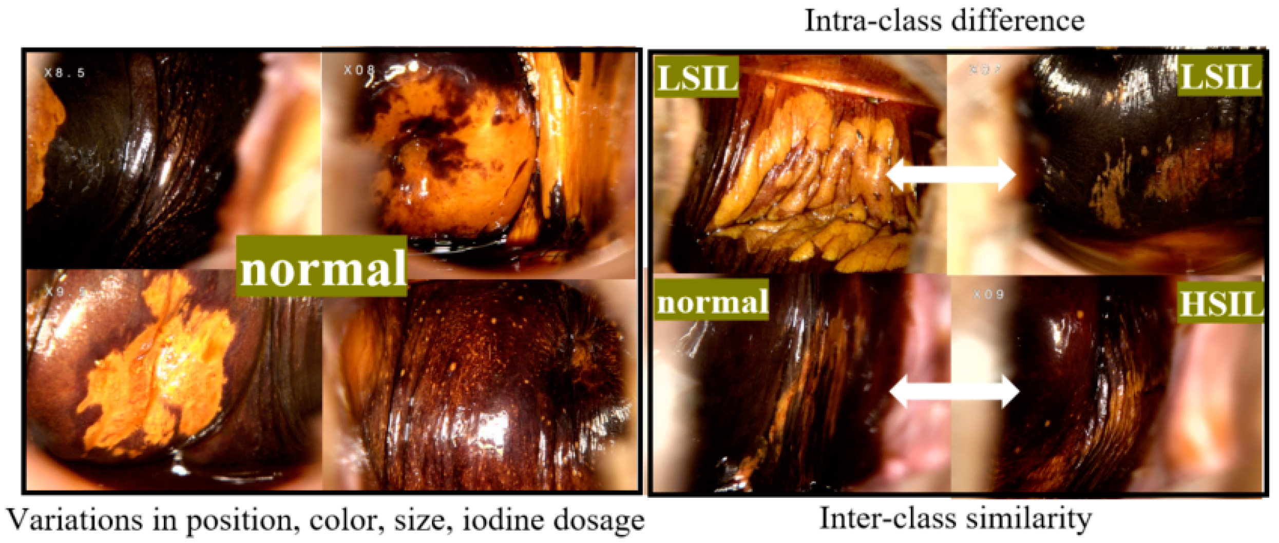Bioengineering 11 01182 g002