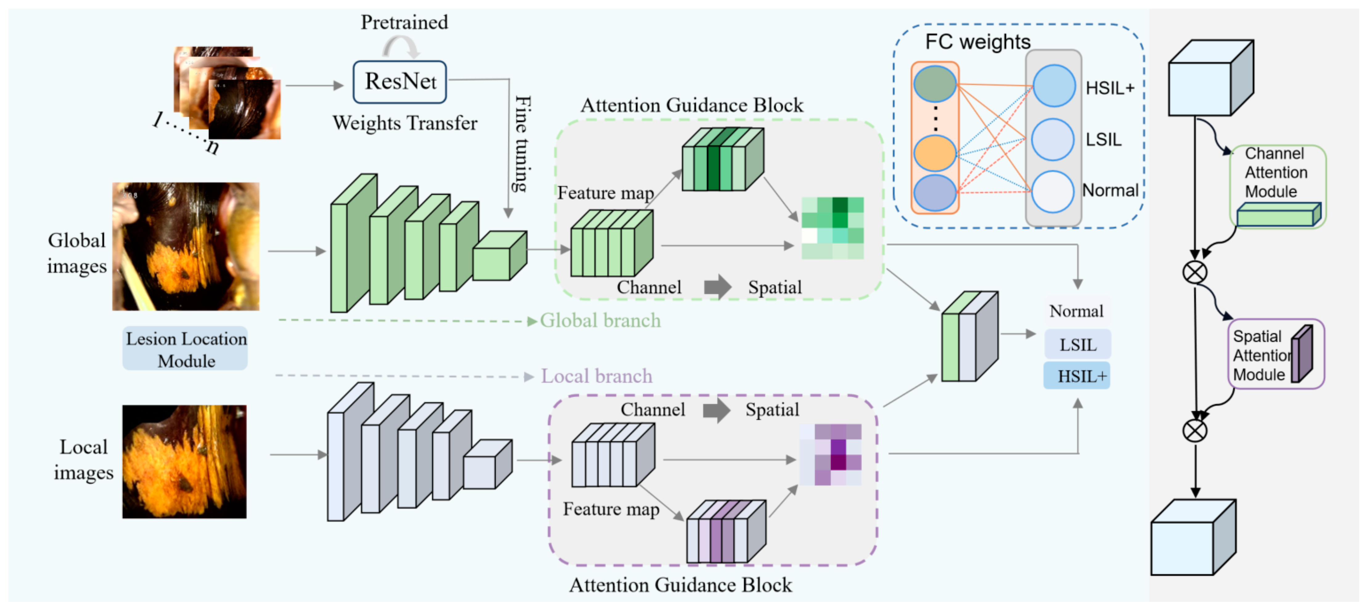 Bioengineering 11 01182 g003