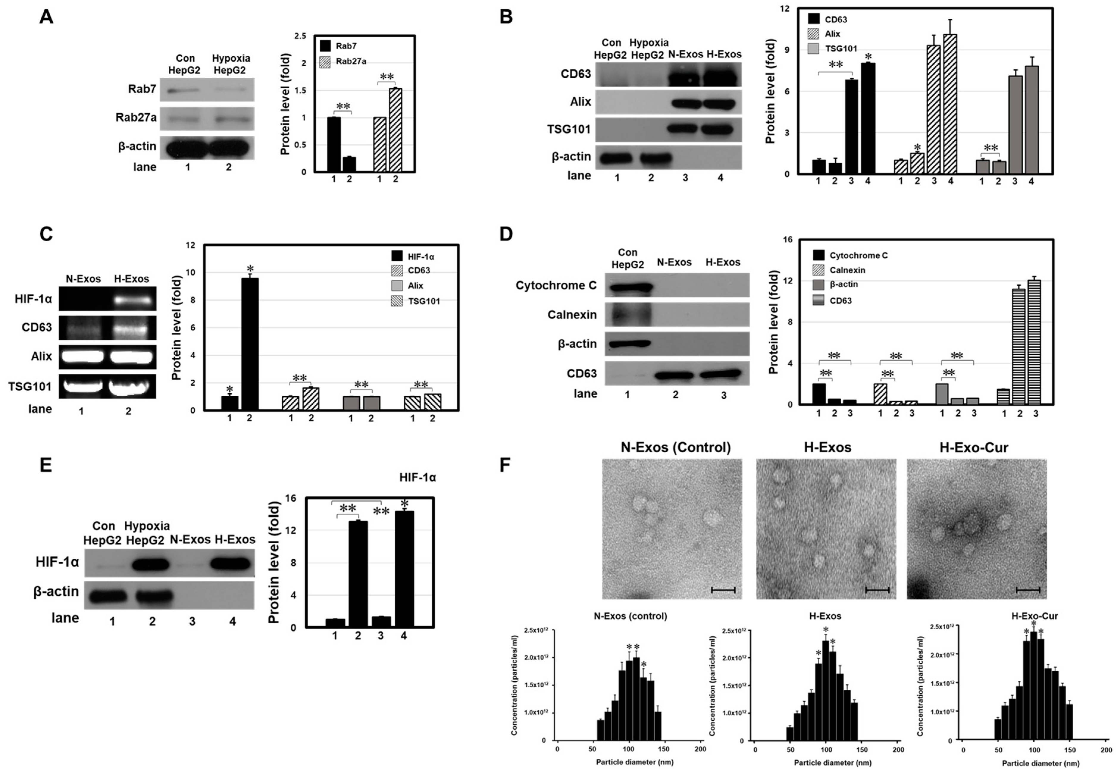 Bioengineering 11 01184 g002