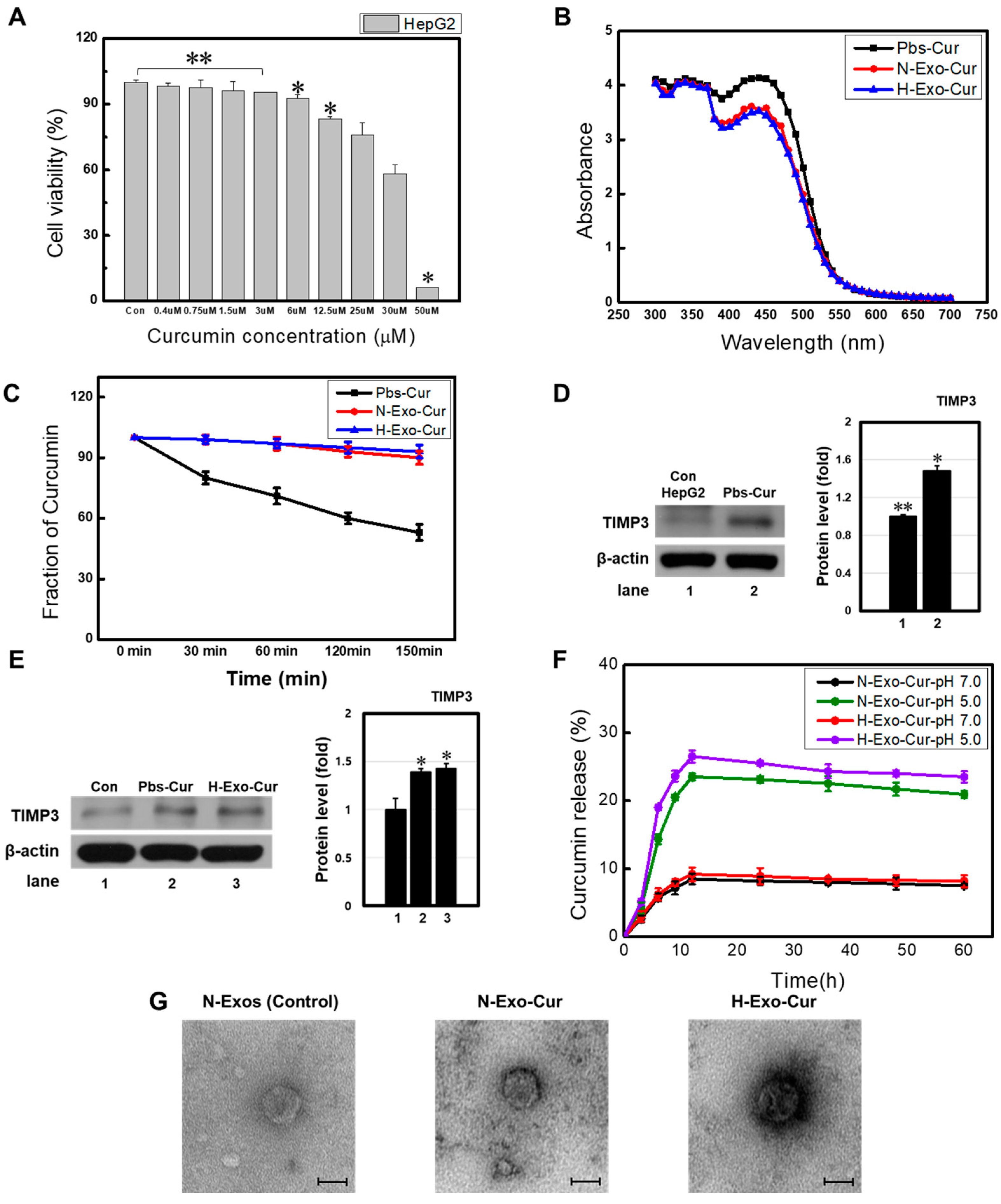 Bioengineering 11 01184 g003
