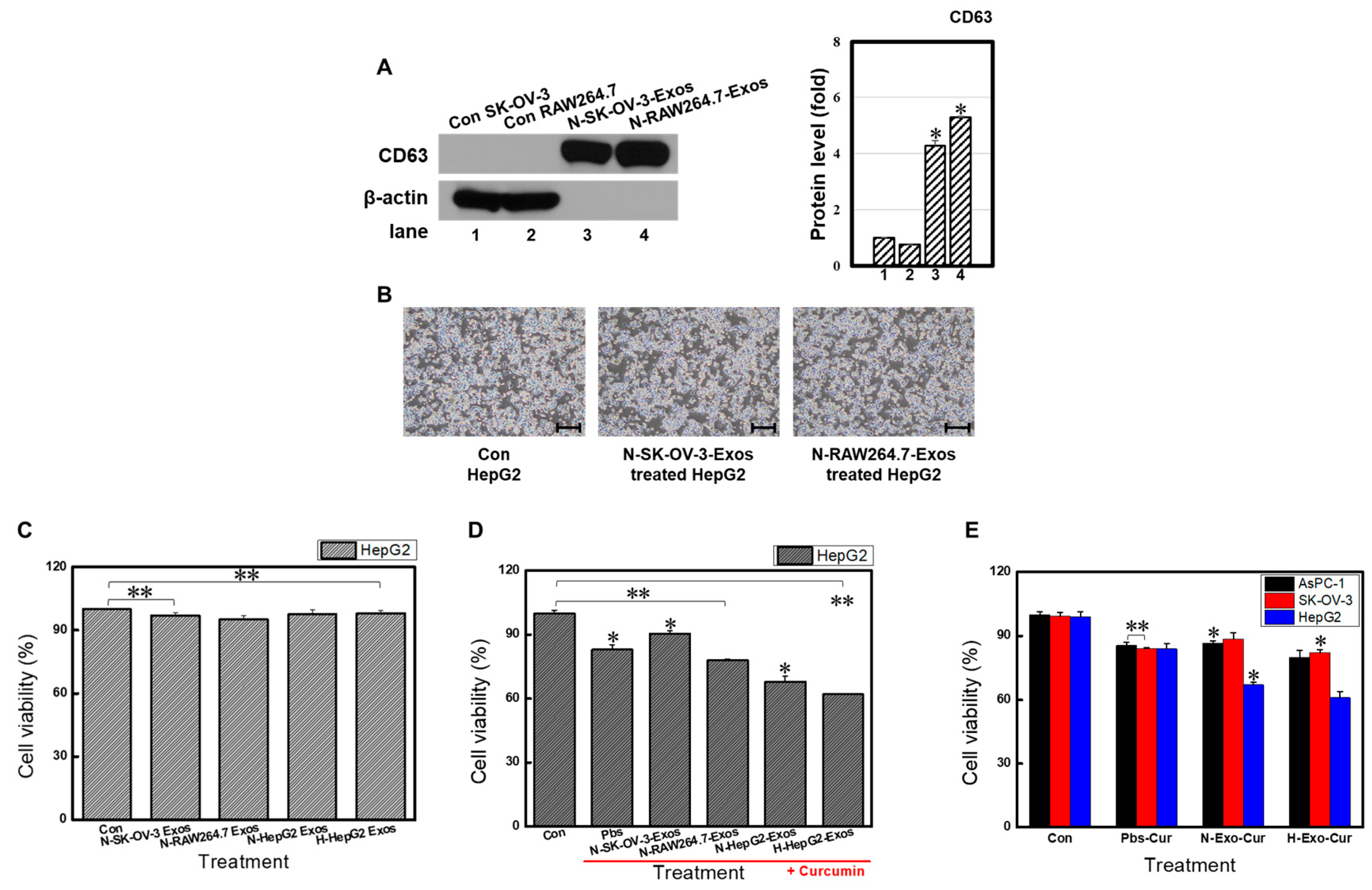 Bioengineering 11 01184 g004