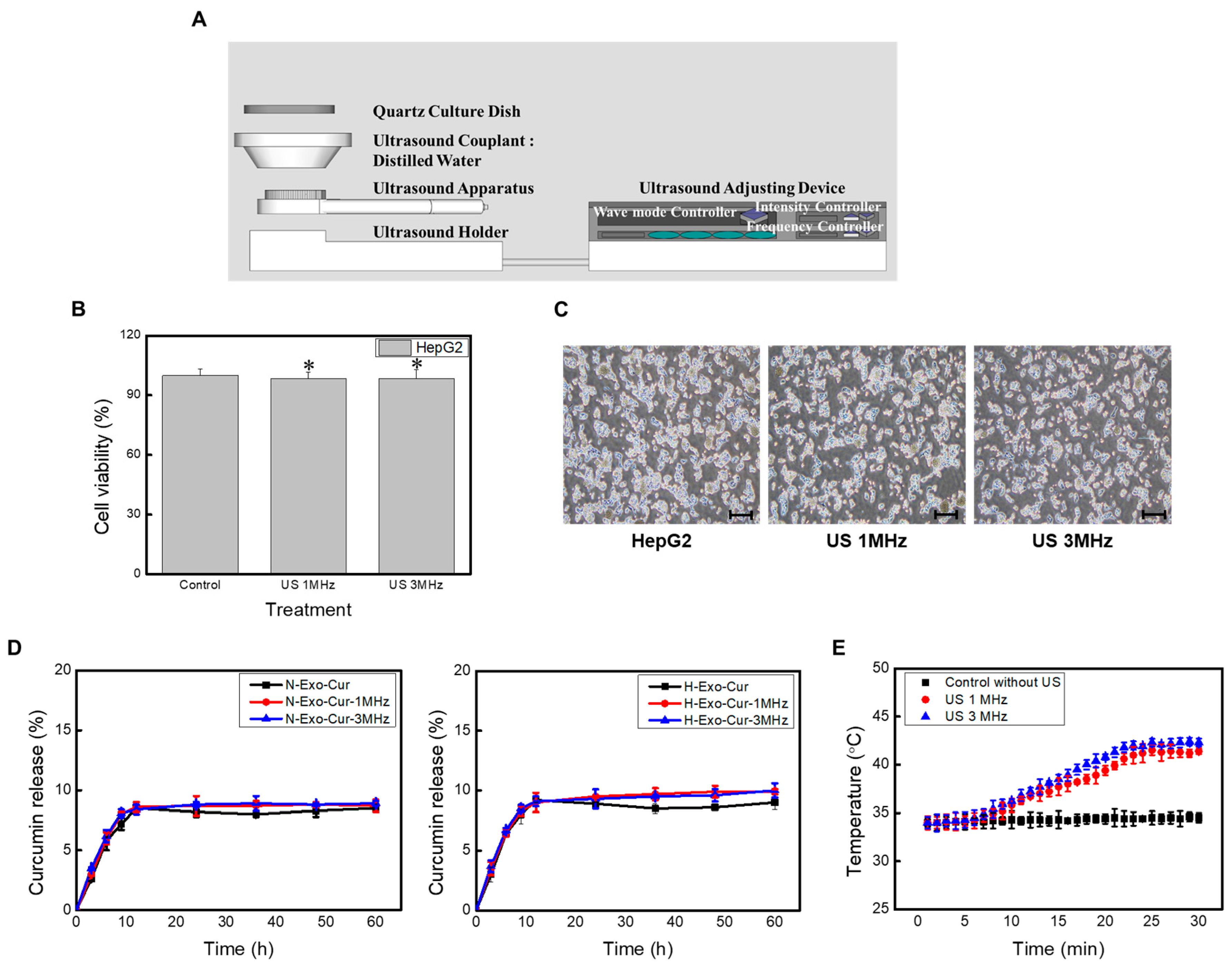 Bioengineering 11 01184 g005