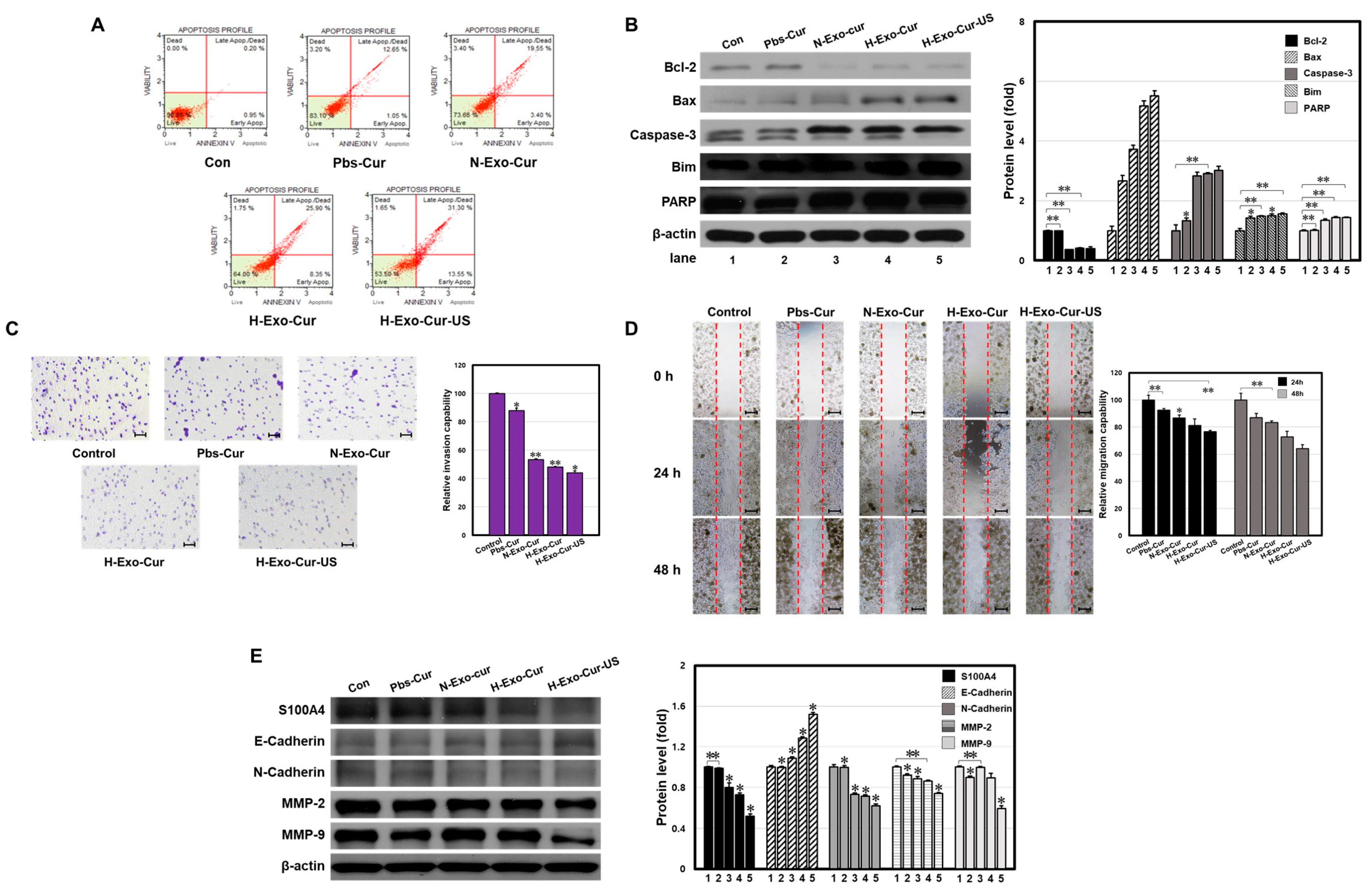 Bioengineering 11 01184 g008